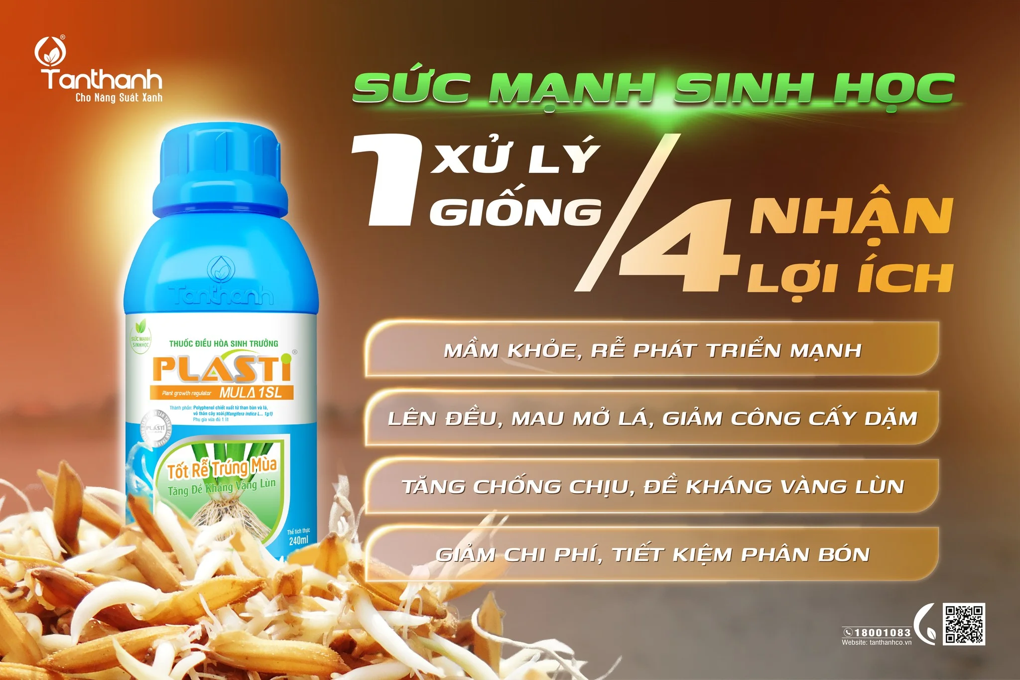 Chăm sóc cây mạ khỏe bằng biện pháp xử lý giống