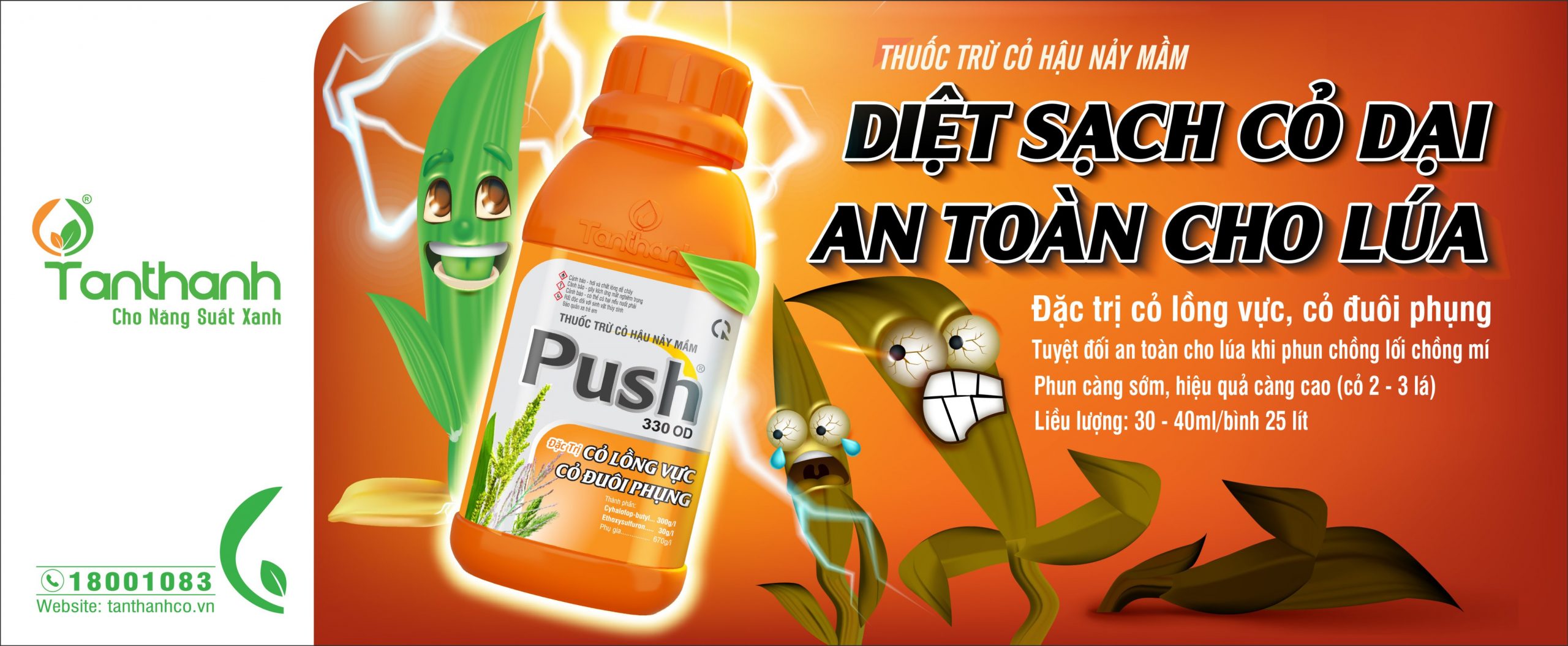 RUỘNG LÚA SẠCH CỎ