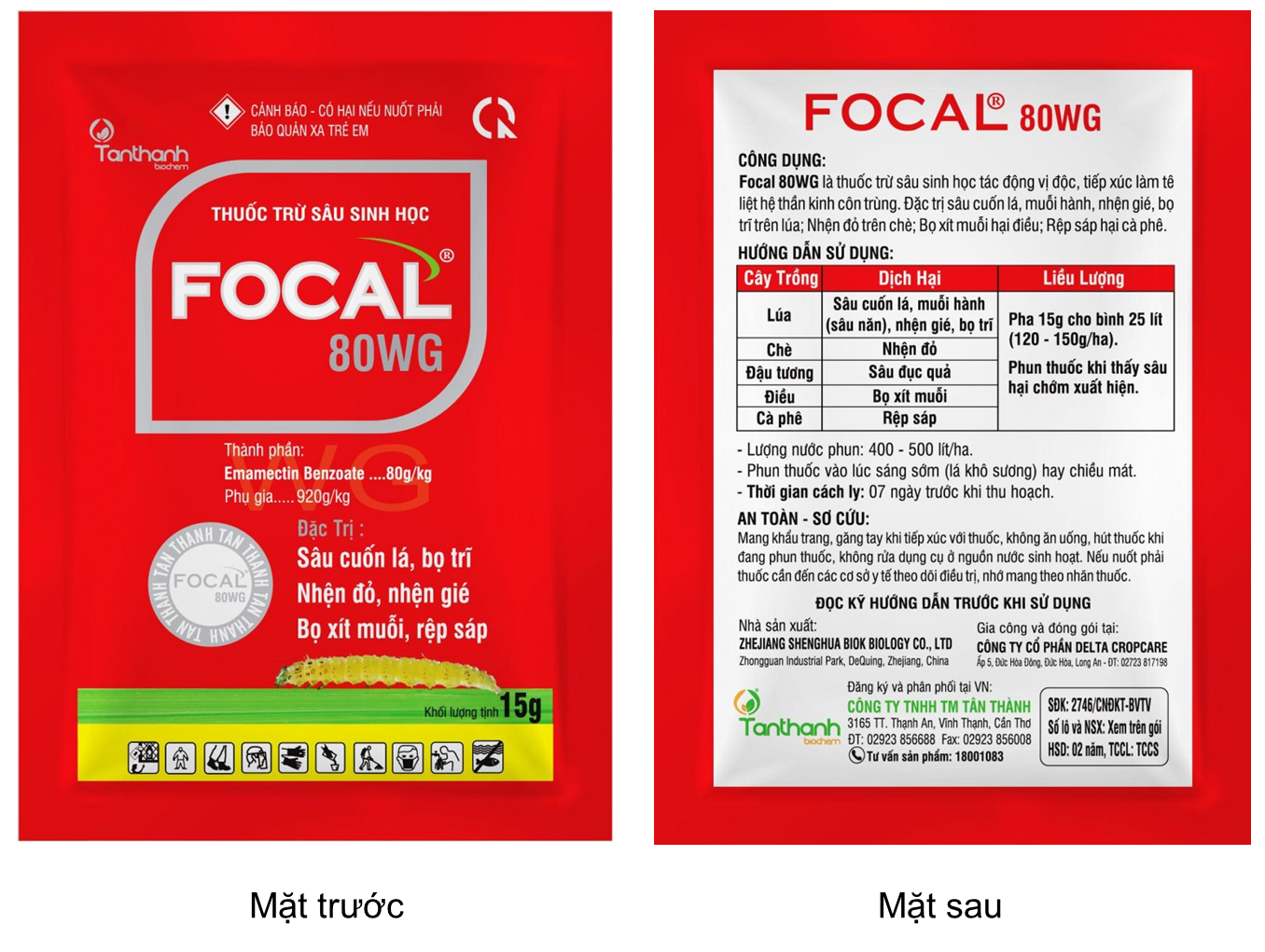 Focal 80WP