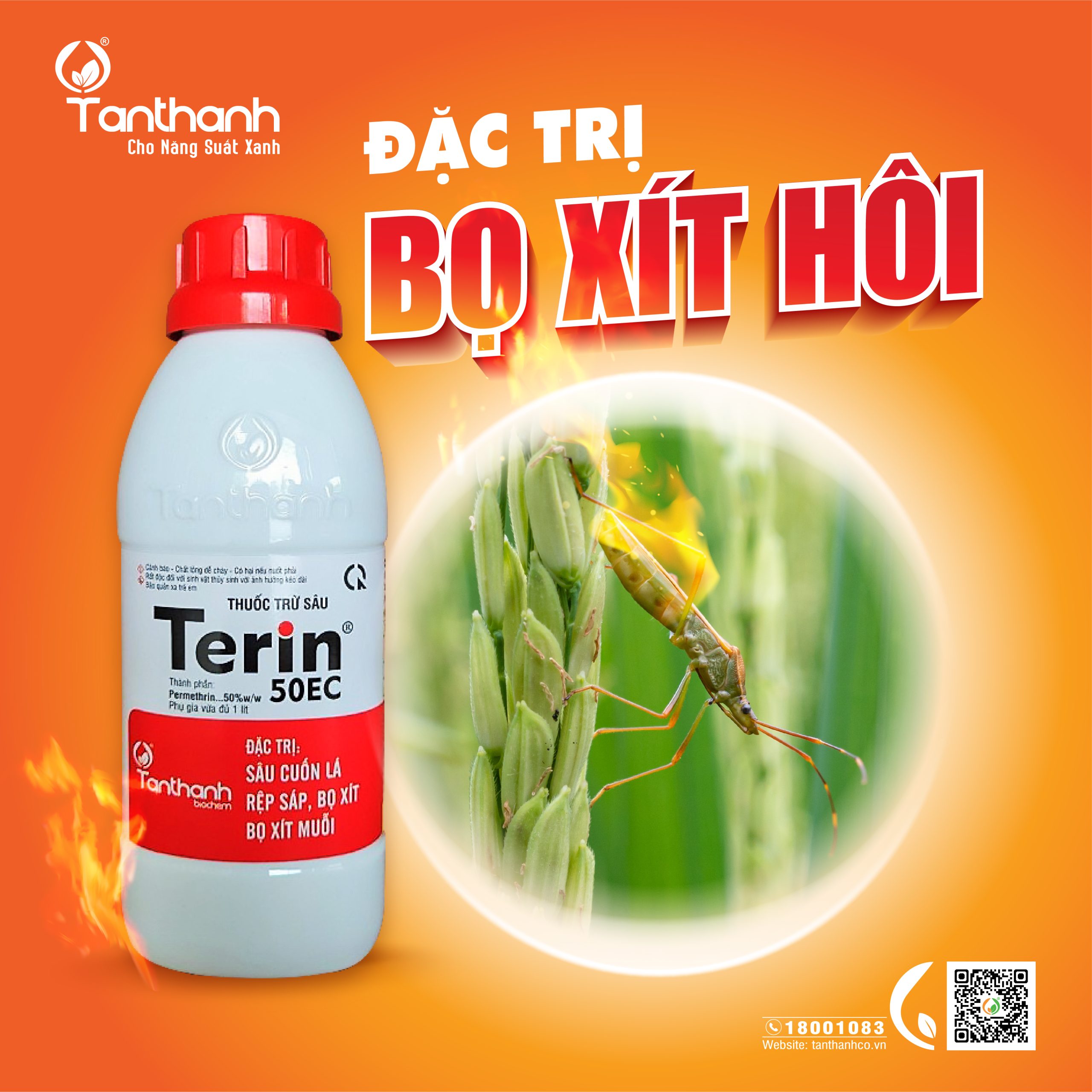 TERIN 50EC