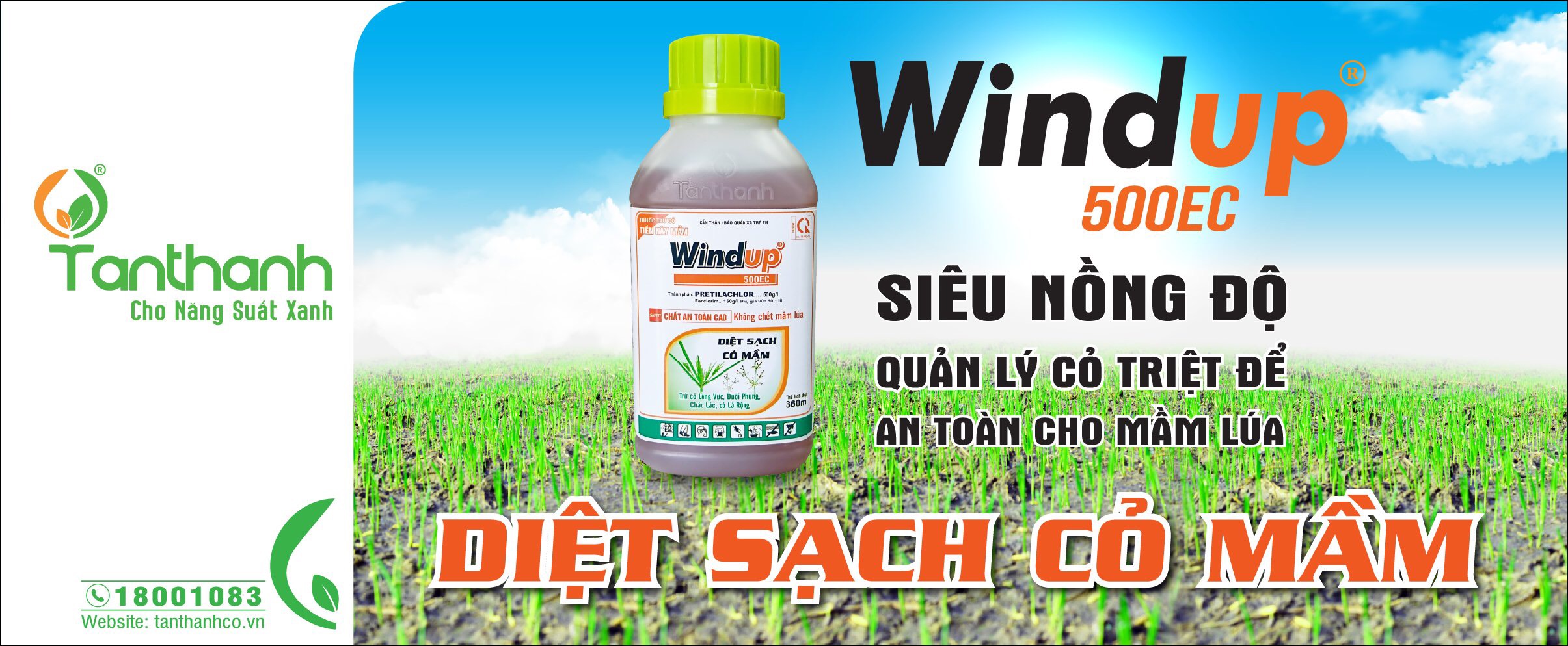 Ruộng lúa sạch cỏ