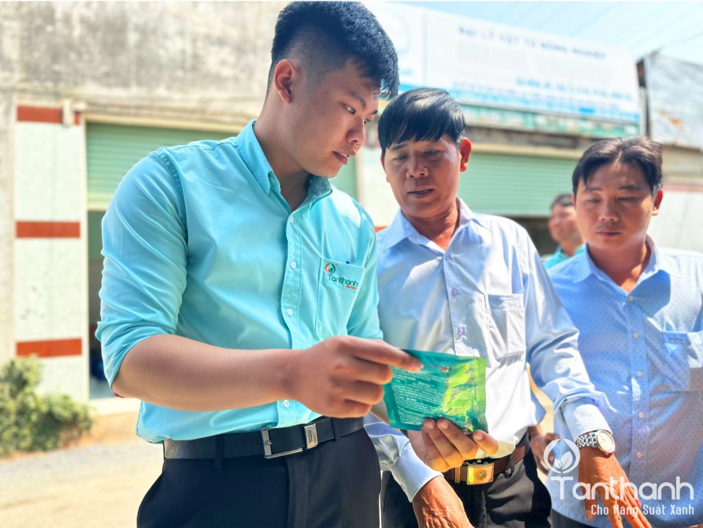 TÂN THÀNH KHUYẾN CÁO GIẢI PHÁP TRÊN MÃNG CẦU
