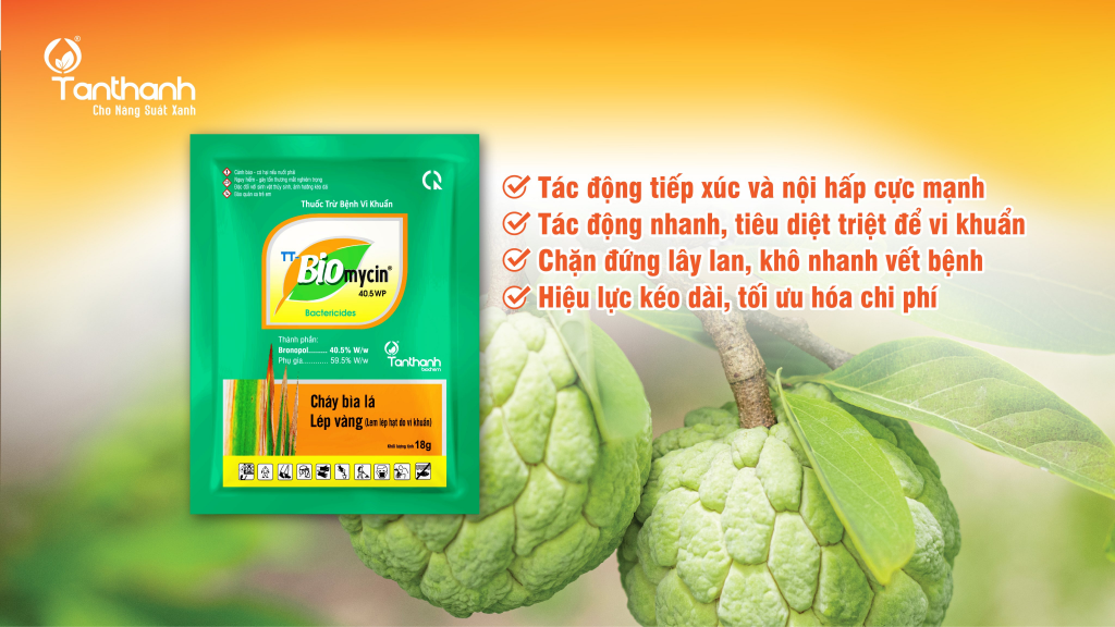 TÂN THÀNH KHUYẾN CÁO GIẢI PHÁP TRÊN MÃNG CẦU