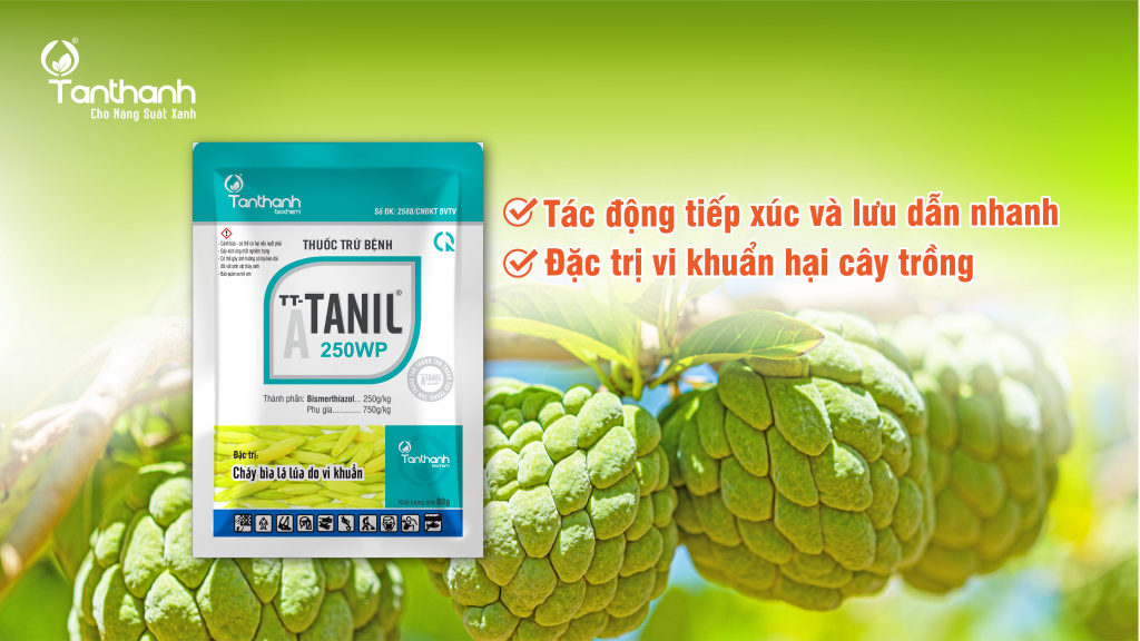 TÂN THÀNH KHUYẾN CÁO GIẢI PHÁP TRÊN MÃNG CẦU