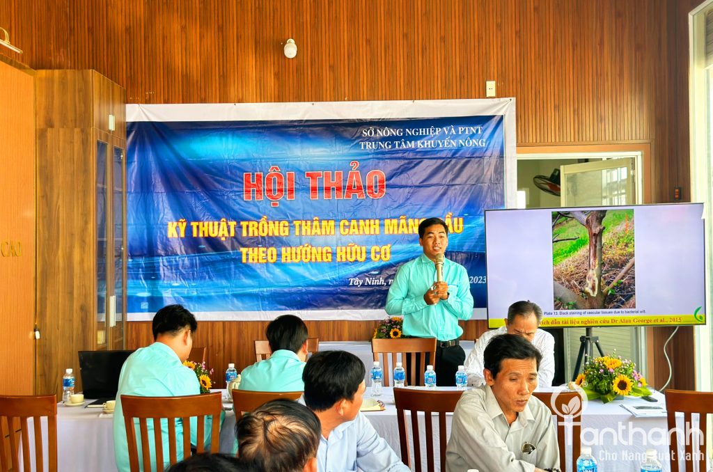 TÂN THÀNH KHUYẾN CÁO GIẢI PHÁP TRÊN MÃNG CẦU