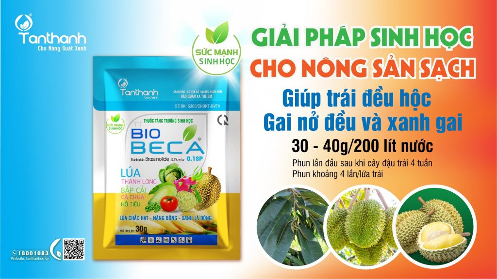PHÒNG TRỪ SÂU BỆNH HẠI TRÊN SẦU RIÊNG ĐÚNG CÁCH