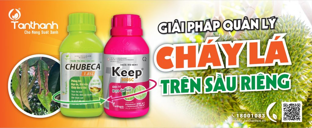 https://tanthanh.congdongkhoinghiep.com/