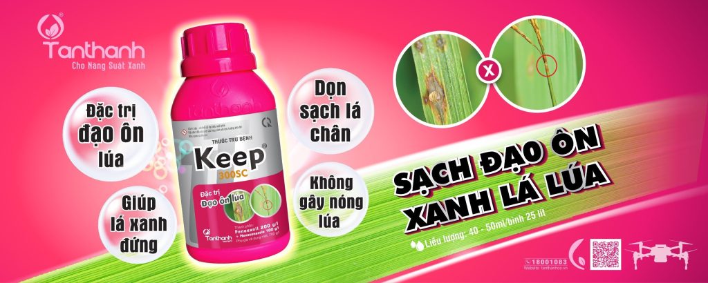 TIẾT TRỜI NHIỀU BIẾN ĐỔI, NHÀ NÔNG NÊN THẬN TRỌNG