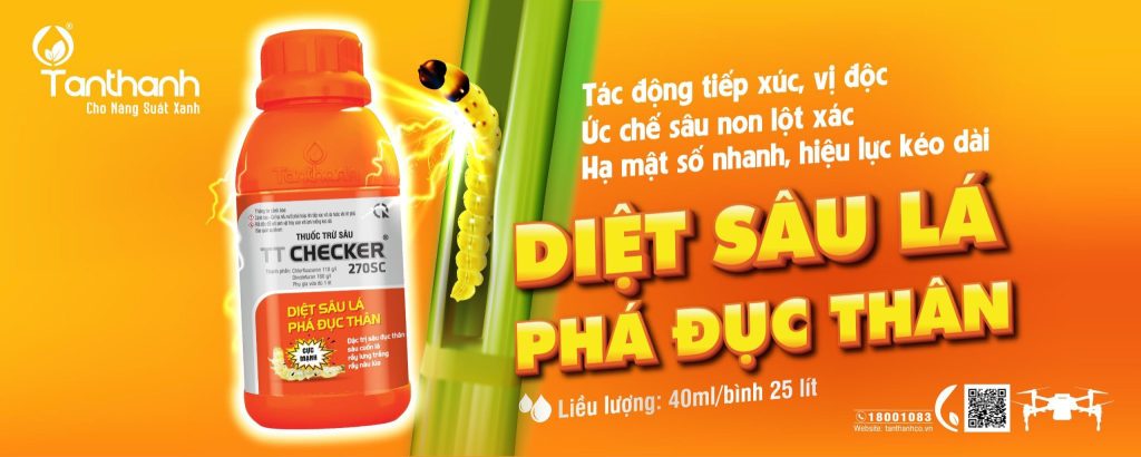 QUẢN LÝ TỐT ĐỐI TƯỢNG RẦY PHẤN TRẮNG HẠI LÚA