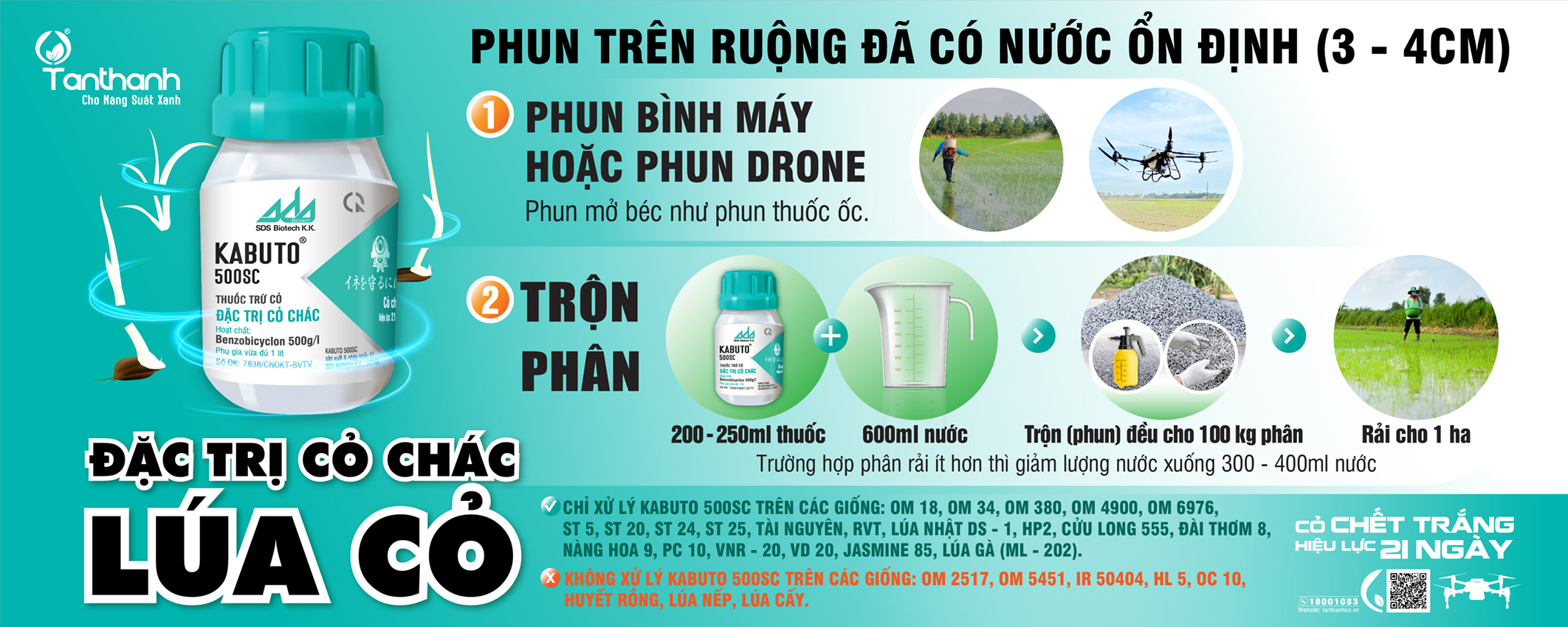 Hướng dẫn phòng trừ lúa cỏ đúng cách Hướng dẫn phòng trừ lúa cỏ đúng cách