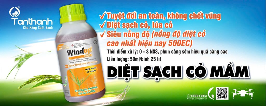 Thởi điểm sử dụng thuốc cỏ Windup 500EC là thuốc cỏ tiền nảy mầm có nồng độ hoạt chất và nồng độ chất an toàn rất cao. Thuốc cỏ tiền nảy mầm Windup 500EC quản lý được nhiều loại cỏ và lúa cỏ (lúa rài, lúa ma, lúa hai tầng). Thuốc cỏ tiền nảy mầm Windup 500EC rất an toàn cho mầm lúa. Bà con nên phun thuốc cỏ tiền nảy mầm Windup 500EC khi lúa từ 0 – 3 ngày sau sạ. Phun thuốc cỏ tiền nảy mầm Windup 500EC càng sớm hiệu quả càng cao. Liều lượng sử dụng thuốc cỏ tiền nảy mầm Windup 500EC là 50ml/bình 25L.