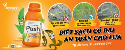 THUỐC CỎ HẬU NẢY MẦM VÀ LƯU Ý QUAN TRỌNG KHI PHUN 