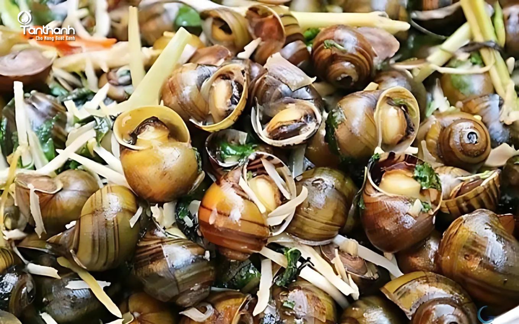 Món ngon từ ốc bươu vàng Món ngon từ ốc bươu vàng