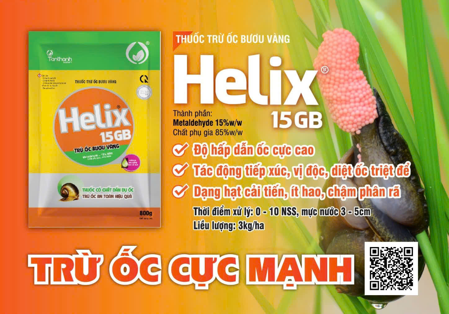Món ngon từ ốc bươu vàng Món ngon từ ốc bươu vàng