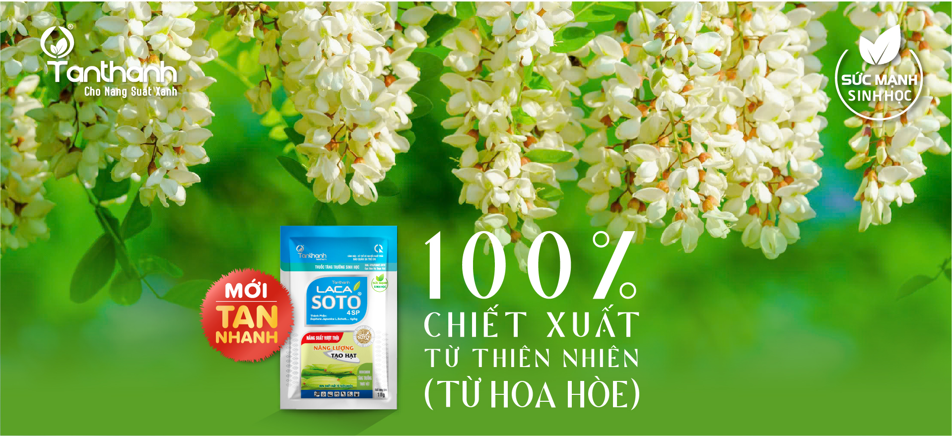 LACASOTO 4SP TAN NHANH, CHẤT LƯỢNG KHÁC BIỆT LACASOTO 4SP TAN NHANH, CHẤT LƯỢNG KHÁC BIỆT