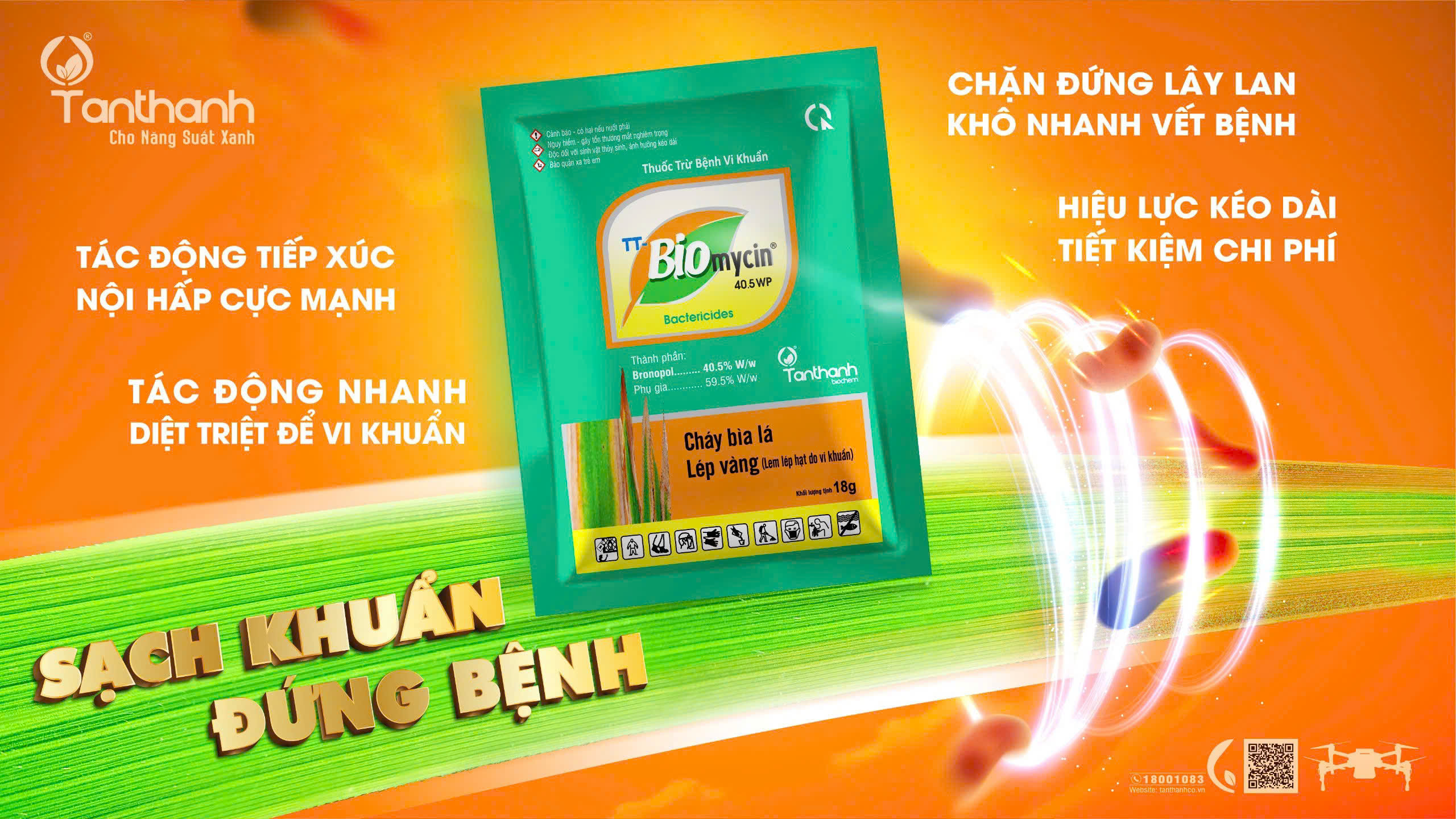 Đừng để lép vàng vi khuẩn khiến lúa mất năng suất và chất lượng Đừng để lép vàng vi khuẩn khiến lúa mất năng suất và chất lượng