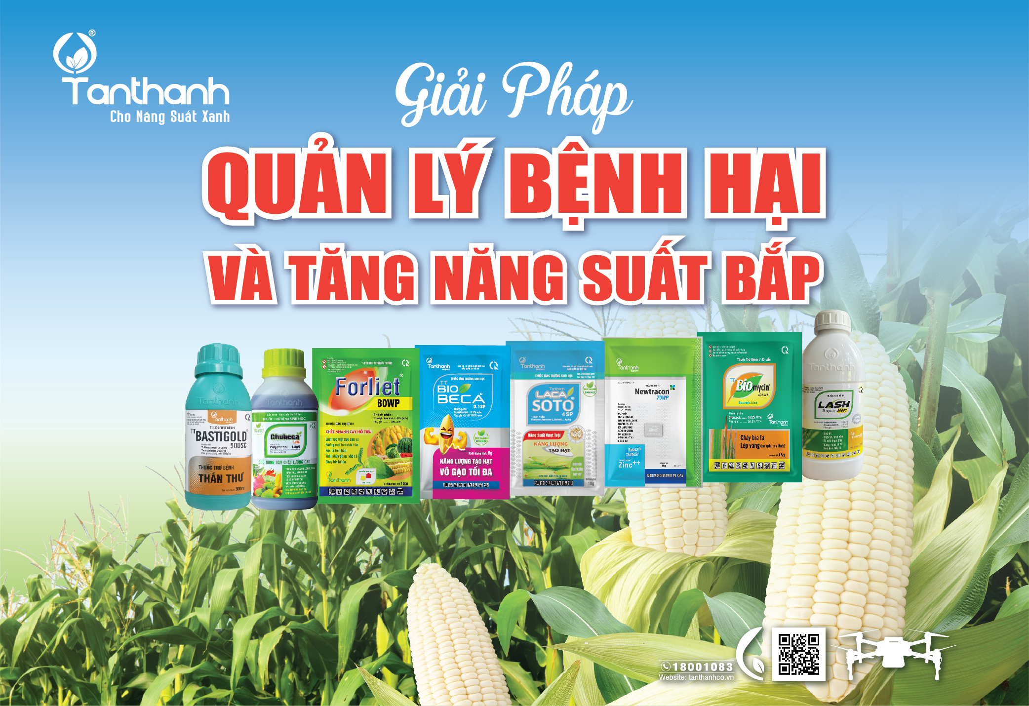 Công ty Tân Thành tổ chức tập huấn giải pháp quản lý bệnh hại và tăng năng suất cho cây bắp