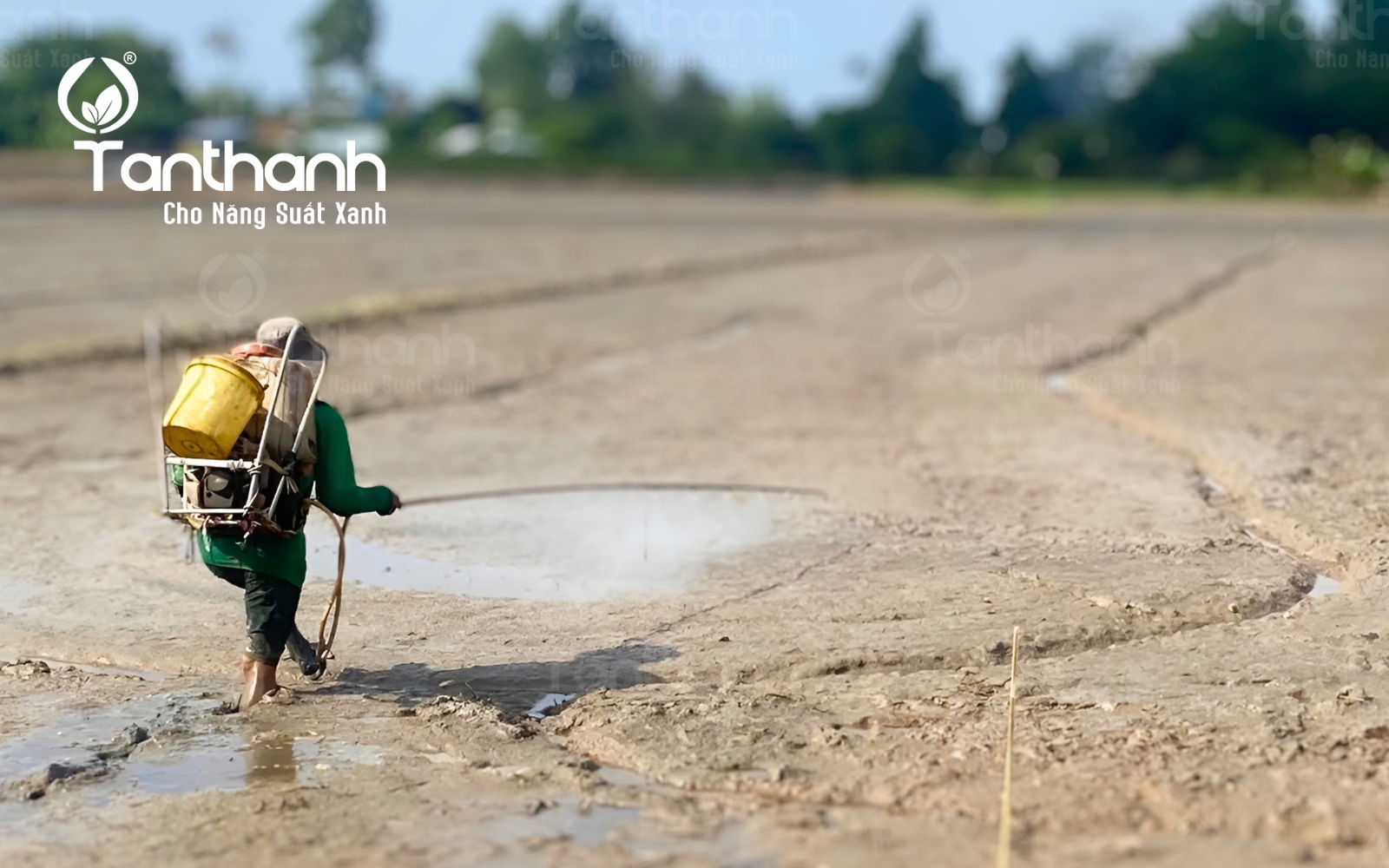 Sử dụng thuốc cỏ tiền nảy mầm đúng cách Sử dụng thuốc cỏ tiền nảy mầm đúng cách