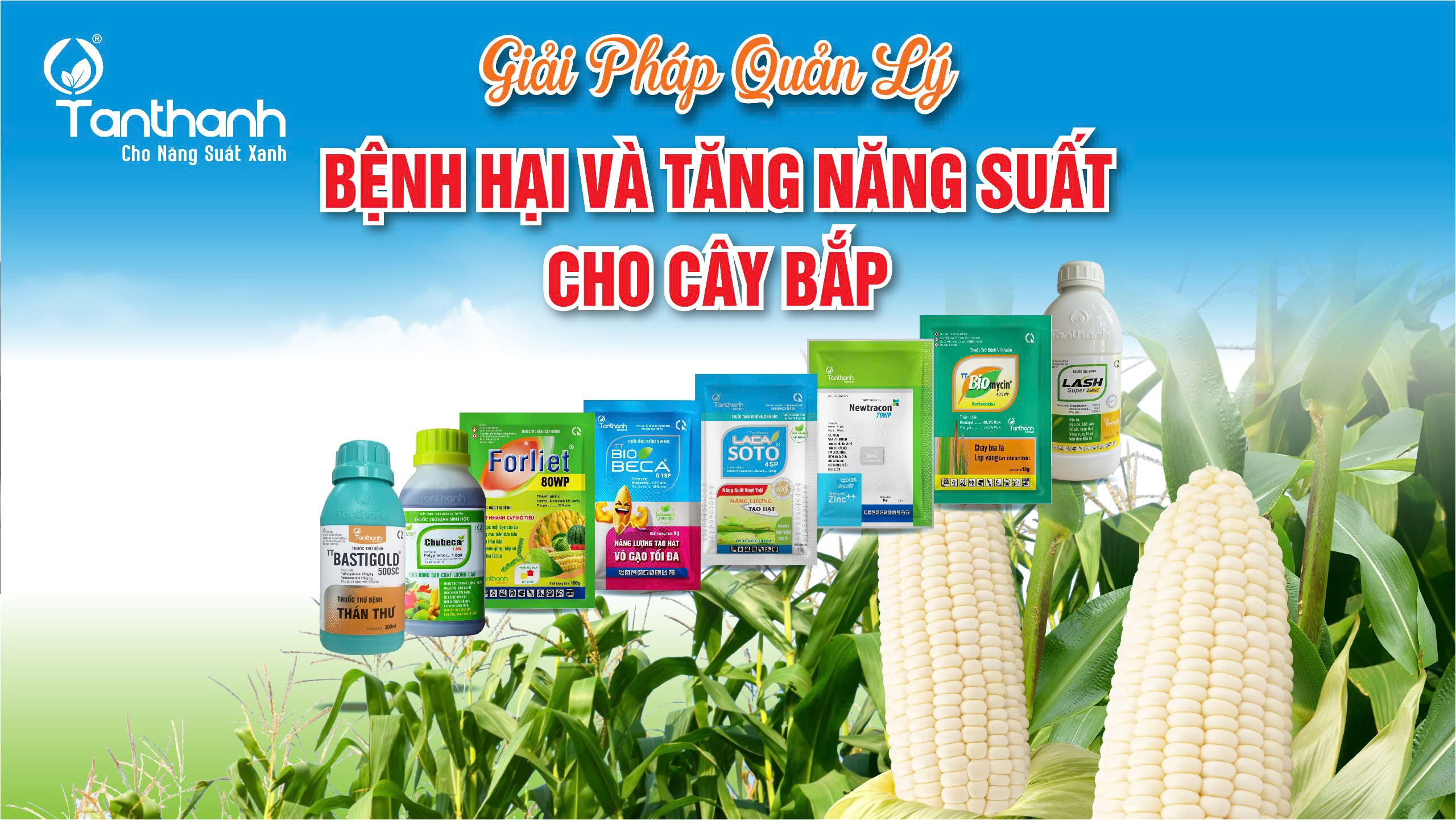 Công ty Tân Thành tổ chức tập huấn giải pháp quản lý bệnh hại và tăng năng suất cho cây bắp Công ty Tân Thành tổ chức tập huấn giải pháp quản lý bệnh hại và tăng năng suất cho cây bắp