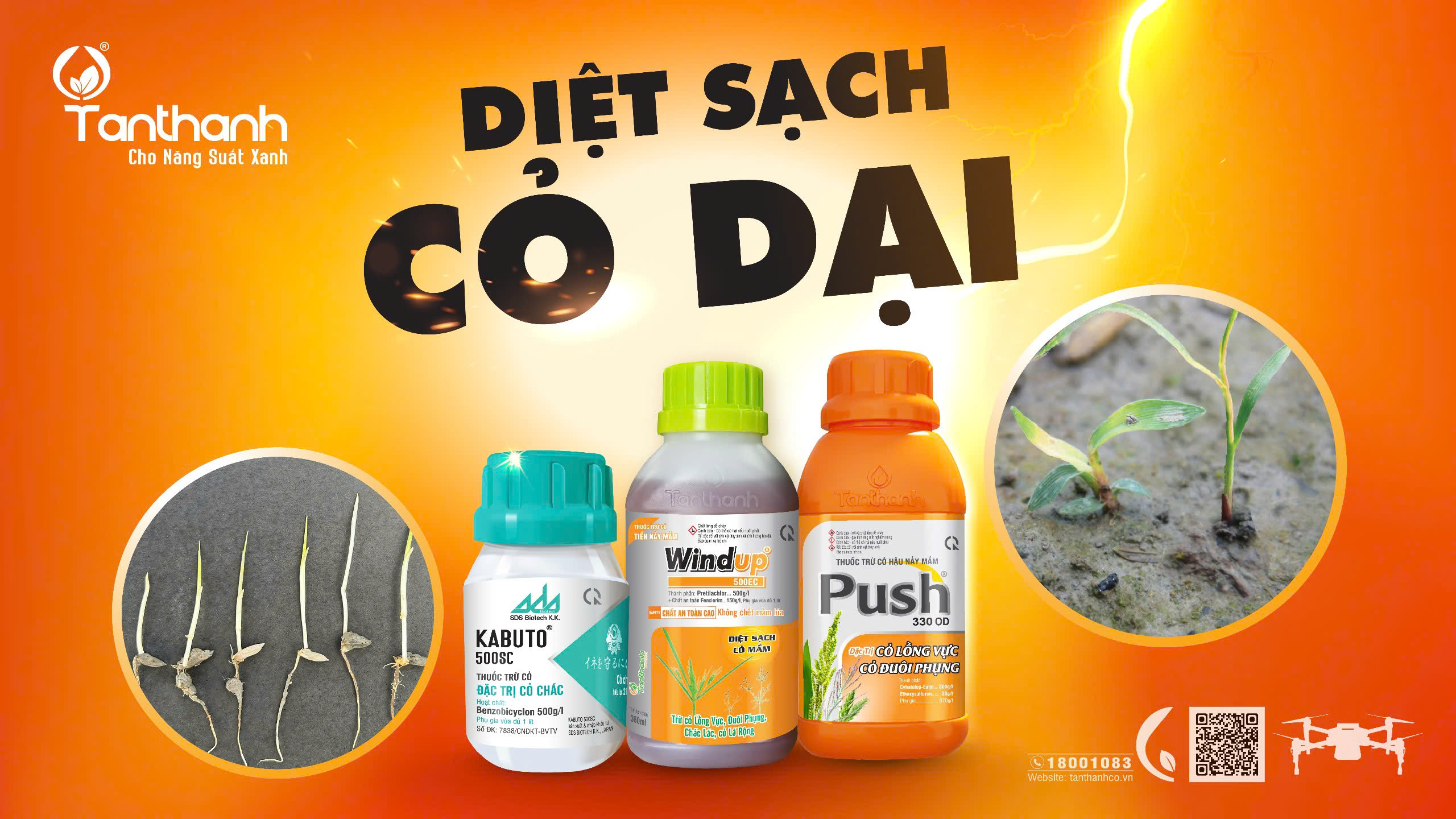  Áp dụng những giải pháp nào để khởi đầu vụ mùa thành công