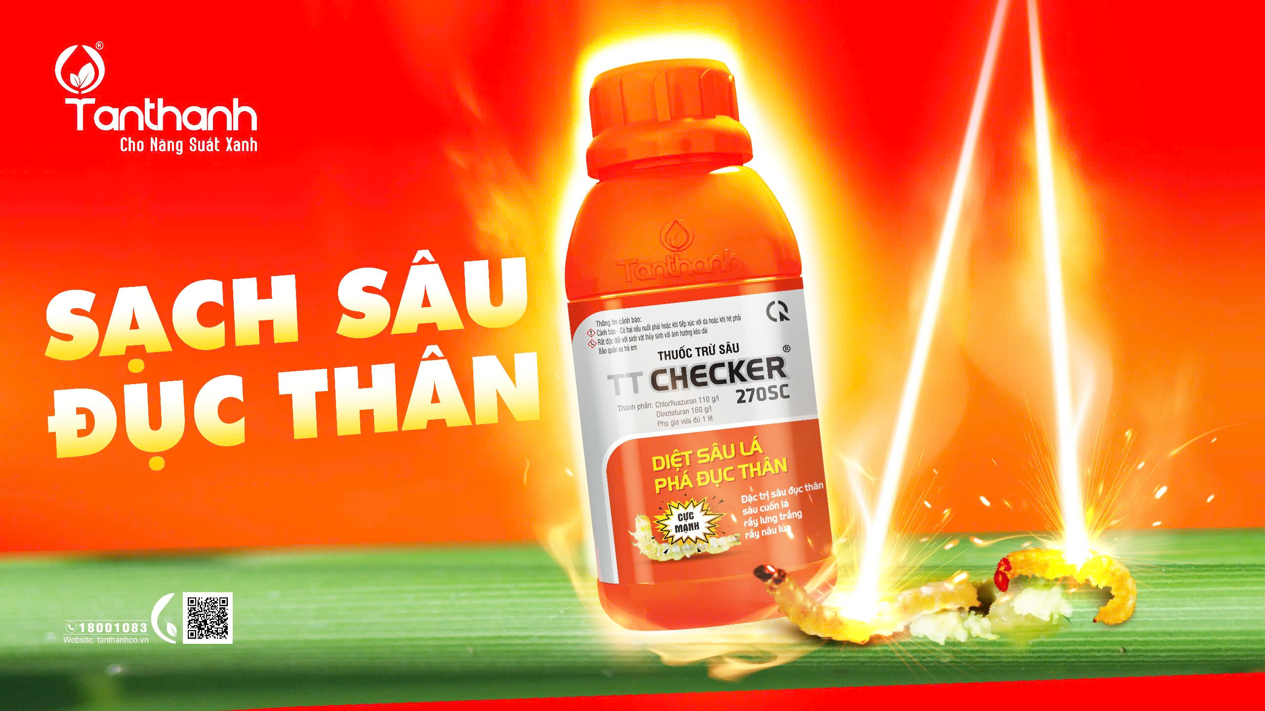 Tác nhân âm thầm tàn phá mùa màng gọi tên sâu đục thân
