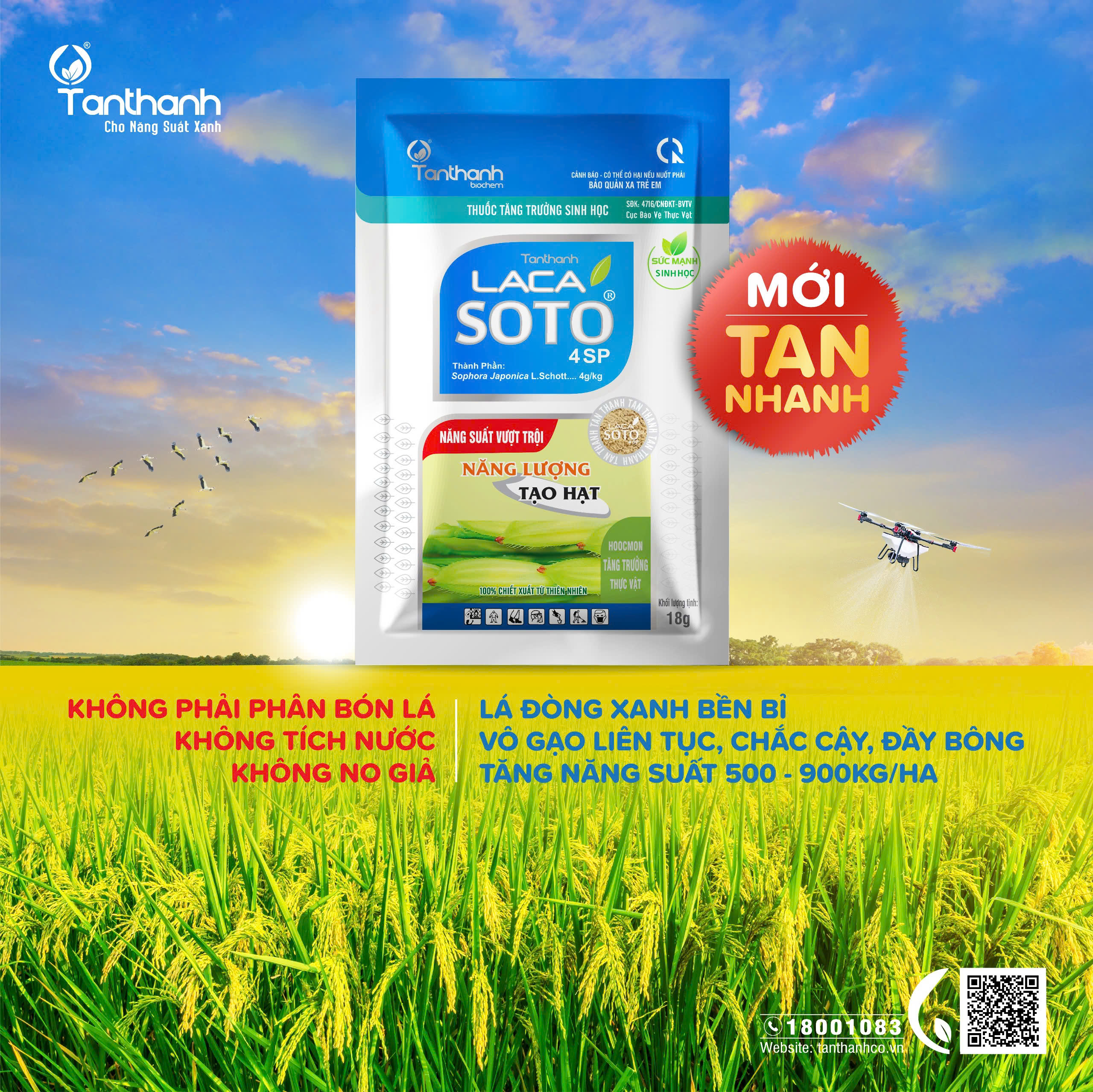 Từ cánh đồng xanh đến hạt gạo sạch
