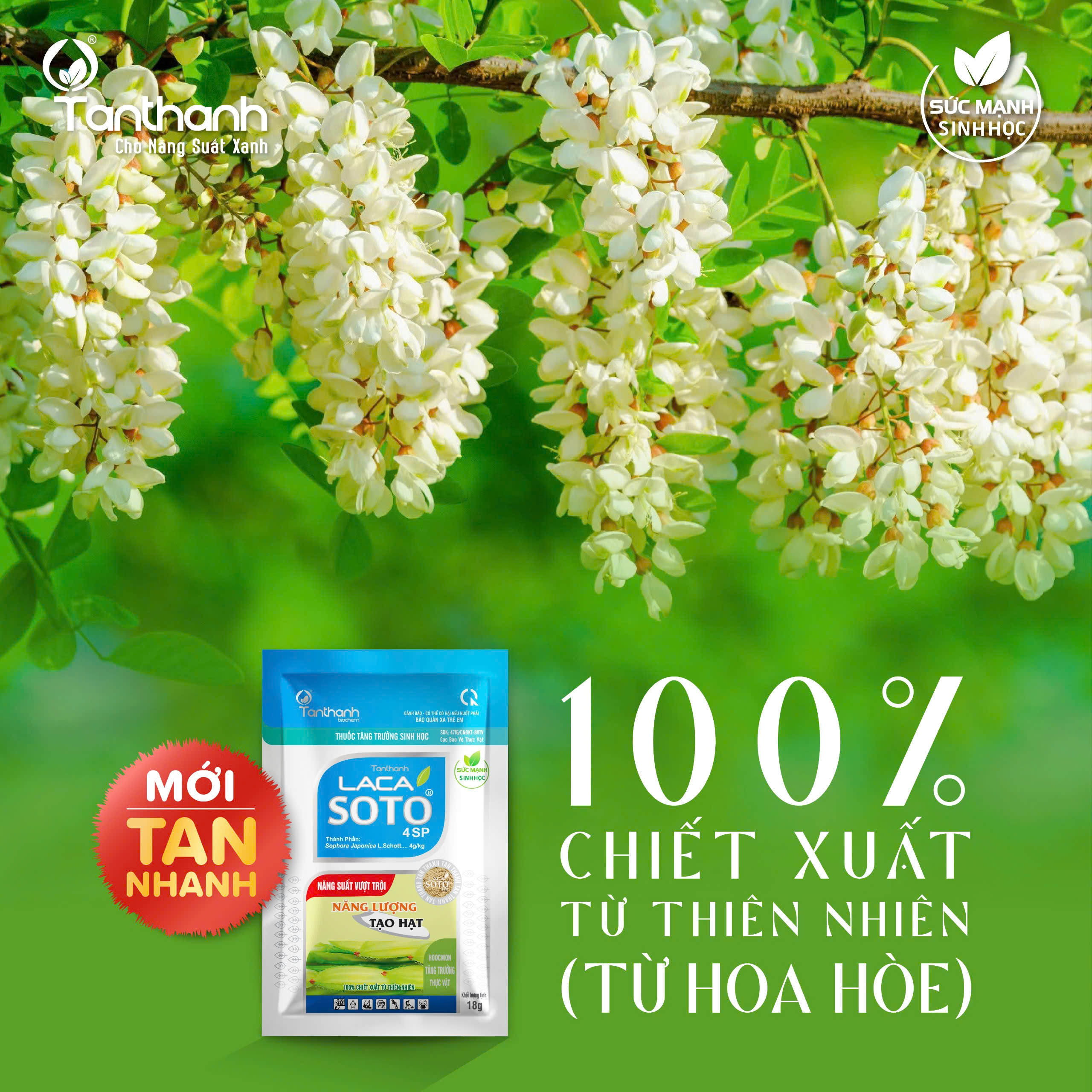 5 lý do giúp Lacasoto 4SP trở thành ưu tiên hàng đầu của cữ vô gạo