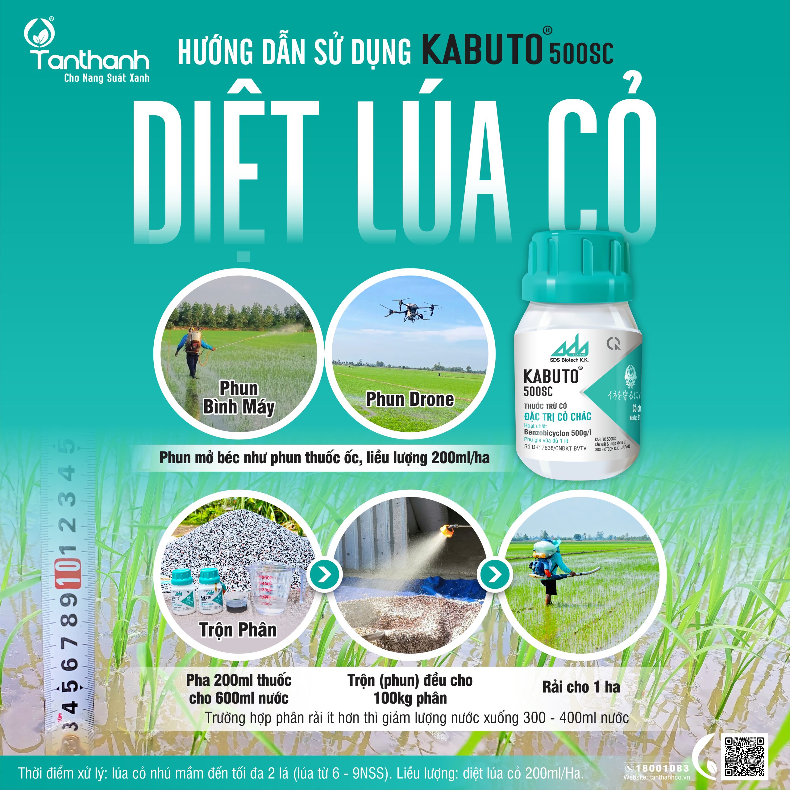 Ruộng lúa cũng có ma