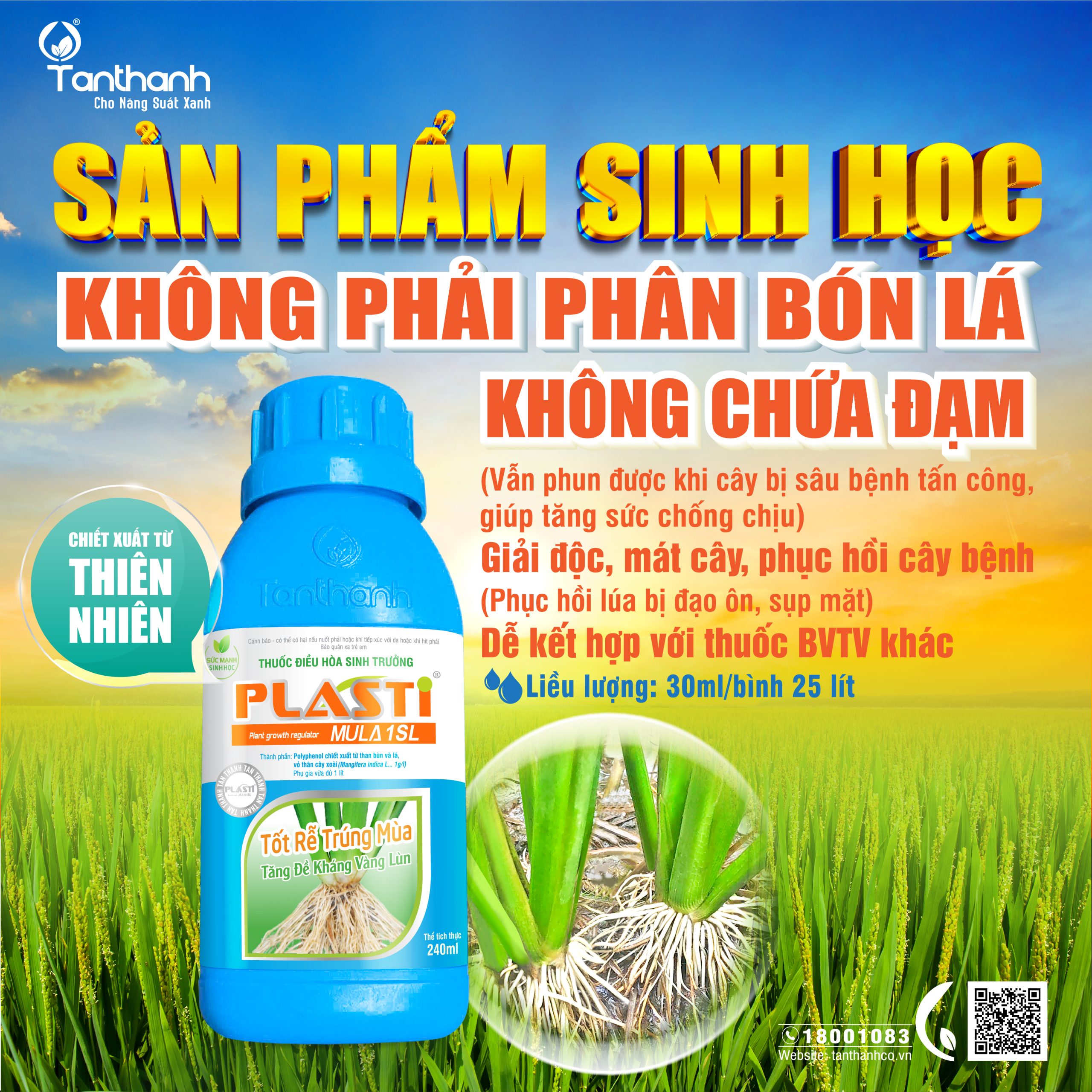 Từ cánh đồng xanh đến hạt gạo sạch