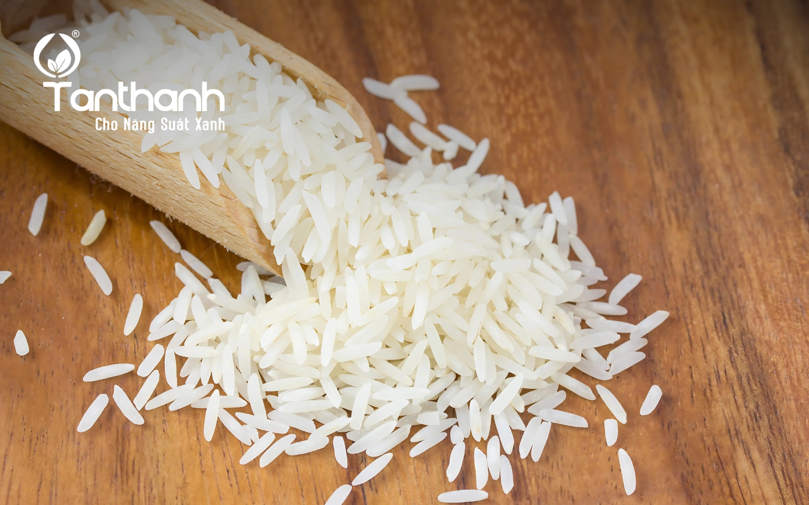 Từ cánh đồng xanh đến hạt gạo sạch