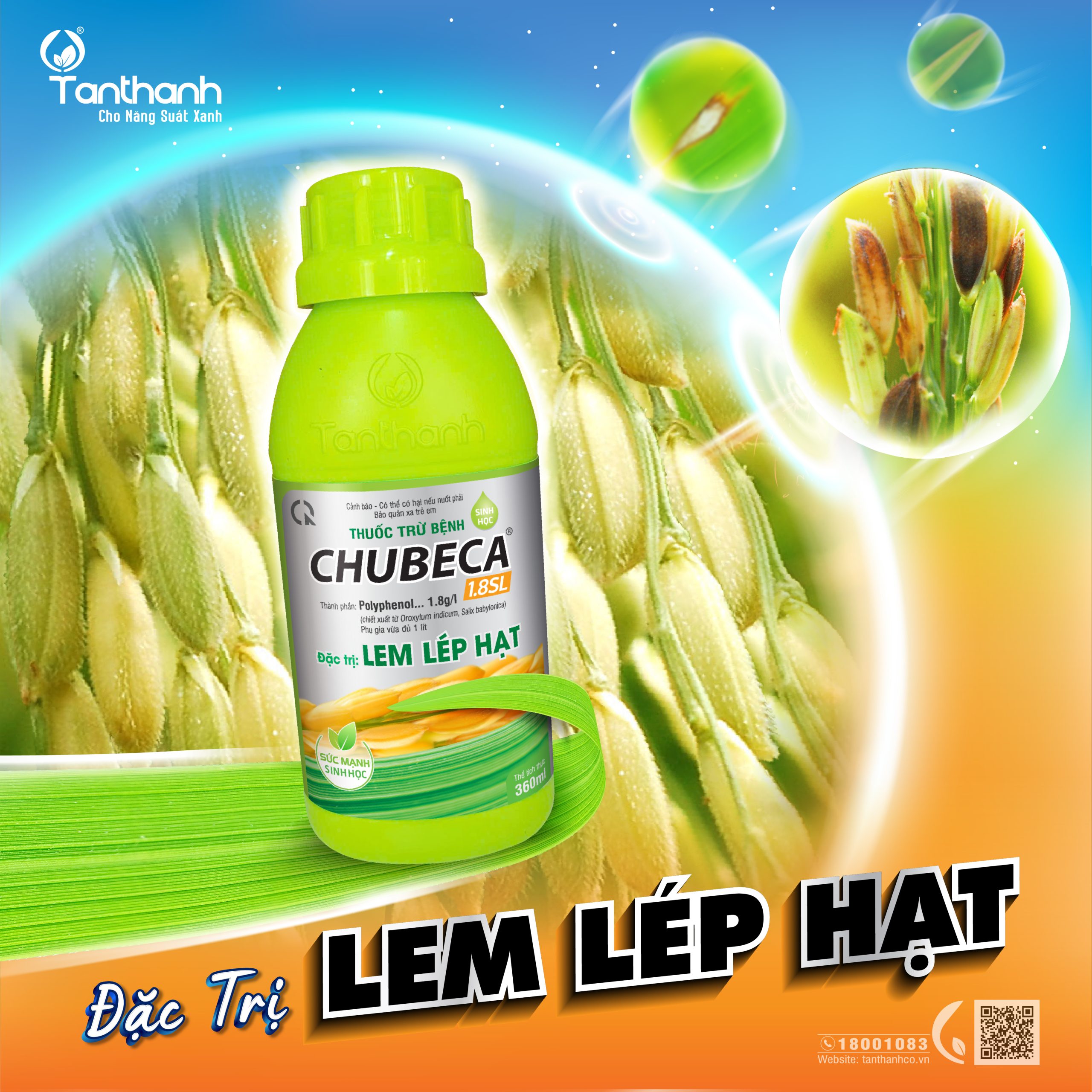 Từ cánh đồng xanh đến hạt gạo sạch