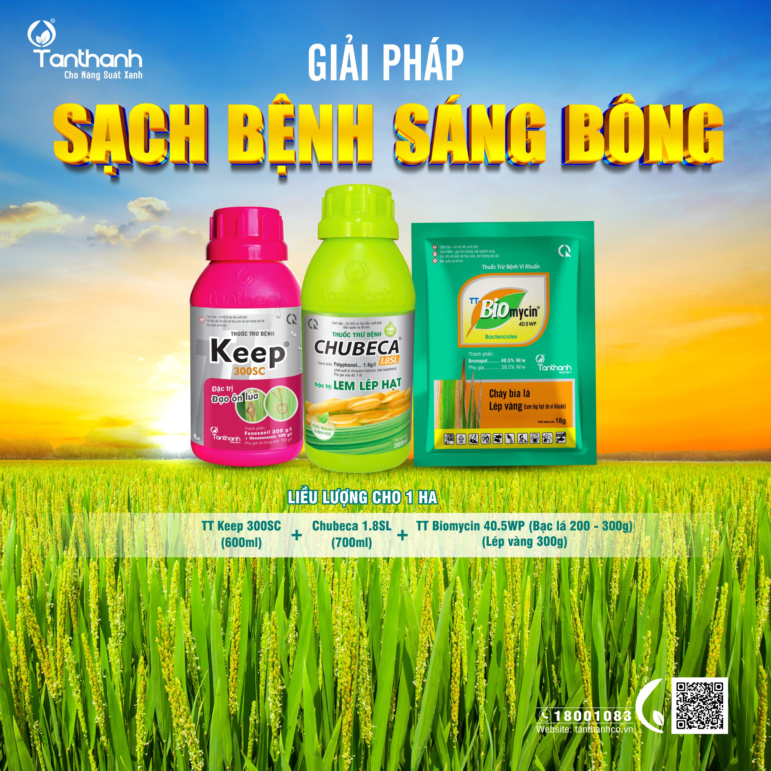 Bệnh hại trên cây lúa giai đoạn cuối vụ Bệnh hại trên cây lúa giai đoạn cuối vụ