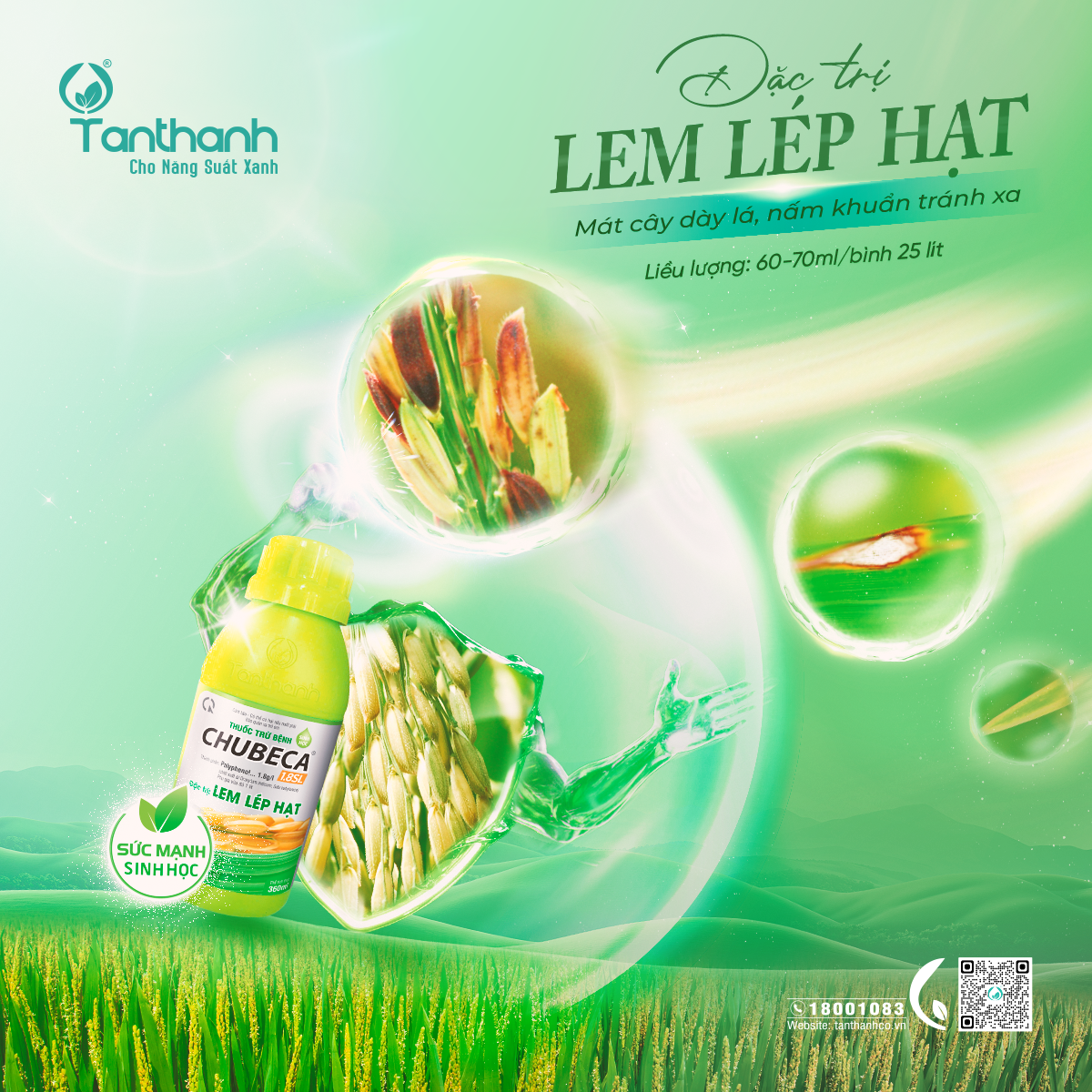 Lúa trổ phun thuốc gì để quản lý bệnh hại?