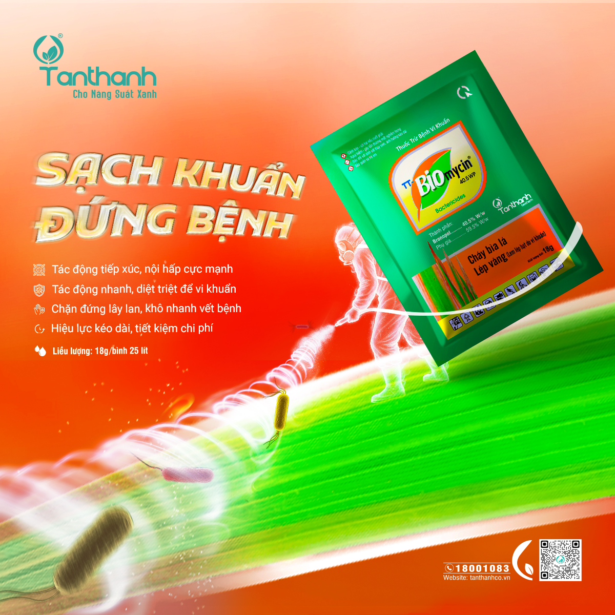 Lúa trổ phun thuốc gì để quản lý bệnh hại?