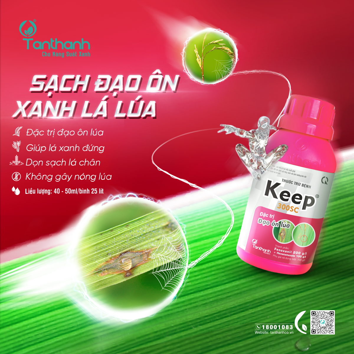 Lúa trổ phun thuốc gì để quản lý bệnh hại?