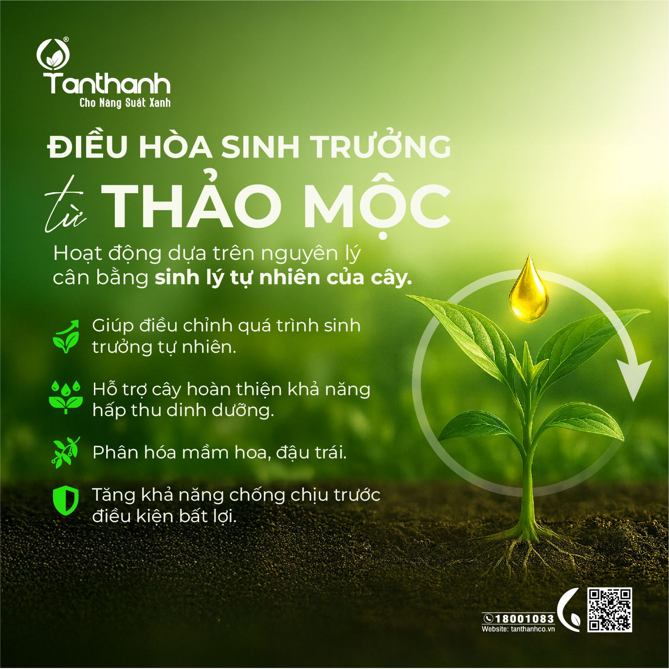 Điều hoà sinh trưởng từ thảo mộc – nền tảng bền vững cho nông nghiệp hiện đại