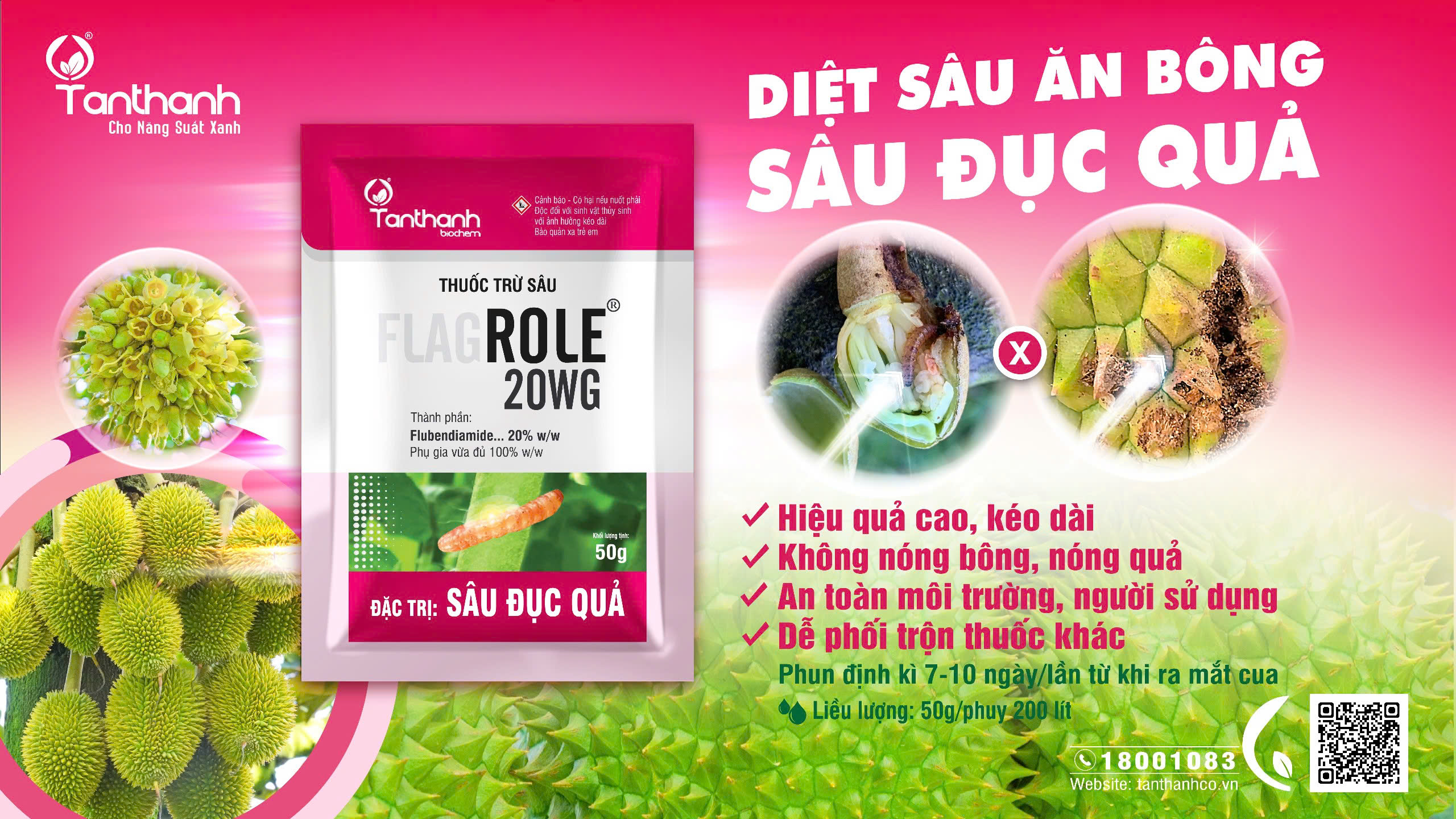 Sầu riêng không chỉ cần dinh dưỡng Sầu riêng không chỉ cần dinh dưỡng