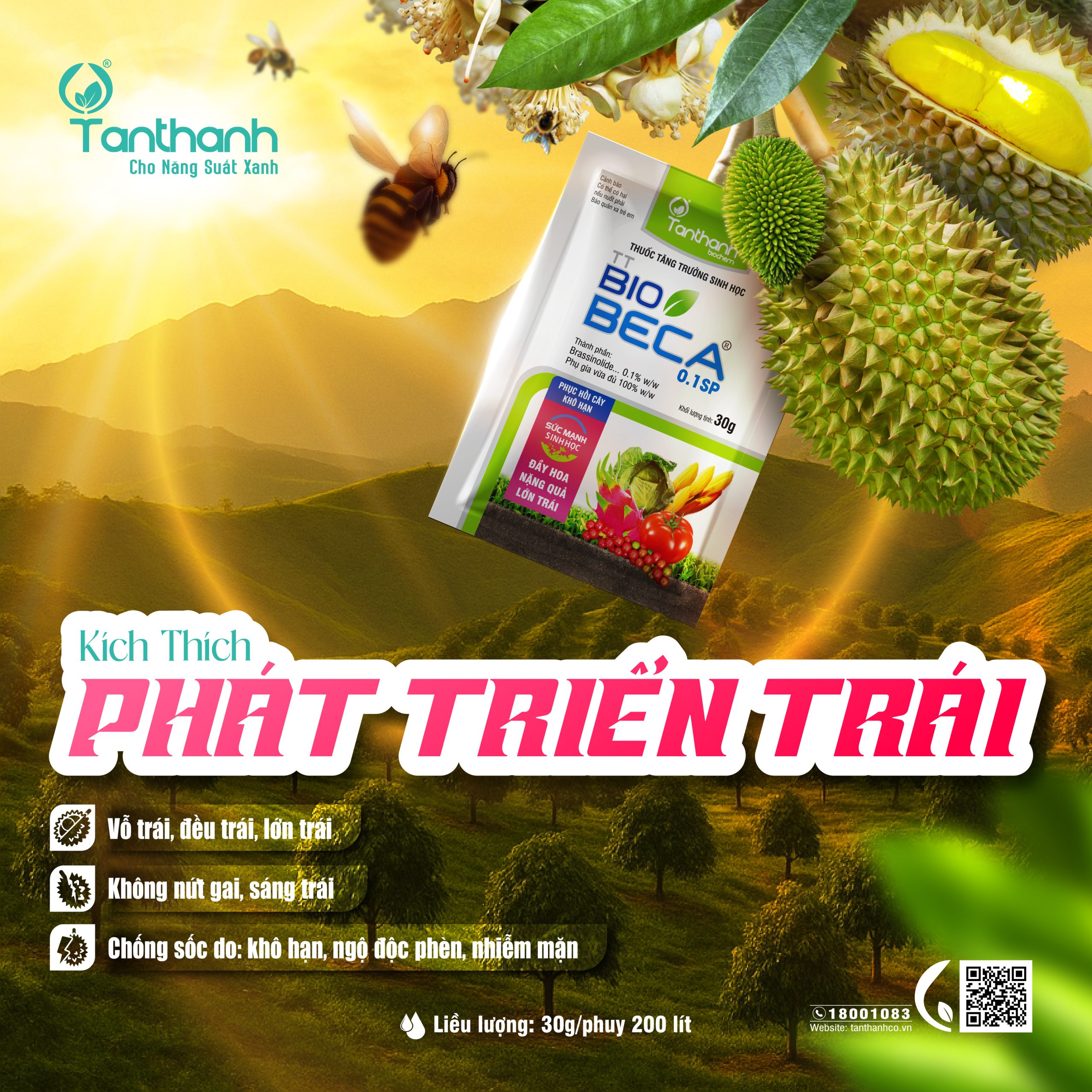 Tăng Trưởng Trái Sầu Riêng An Toàn, Hiệu Quả Với TT Biobeca 0.1SP Tăng Trưởng Trái Sầu Riêng An Toàn, Hiệu Quả Với TT Biobeca 0.1SP