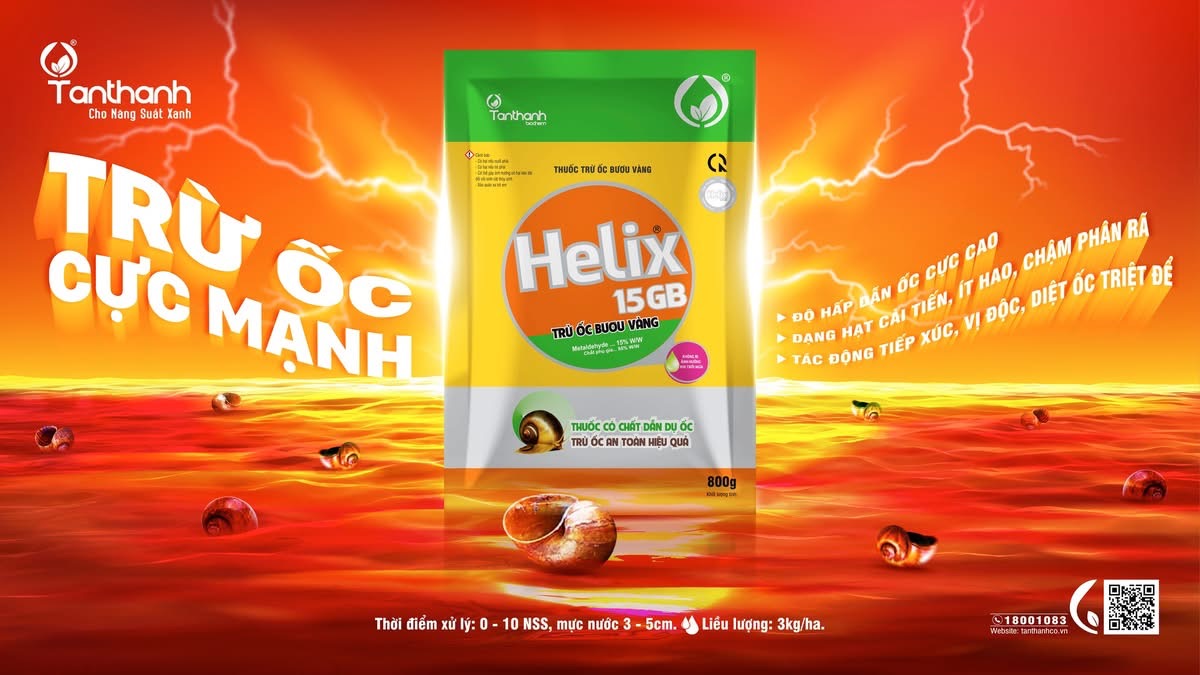 Lá chắn của lúa non Lá chắn của lúa non