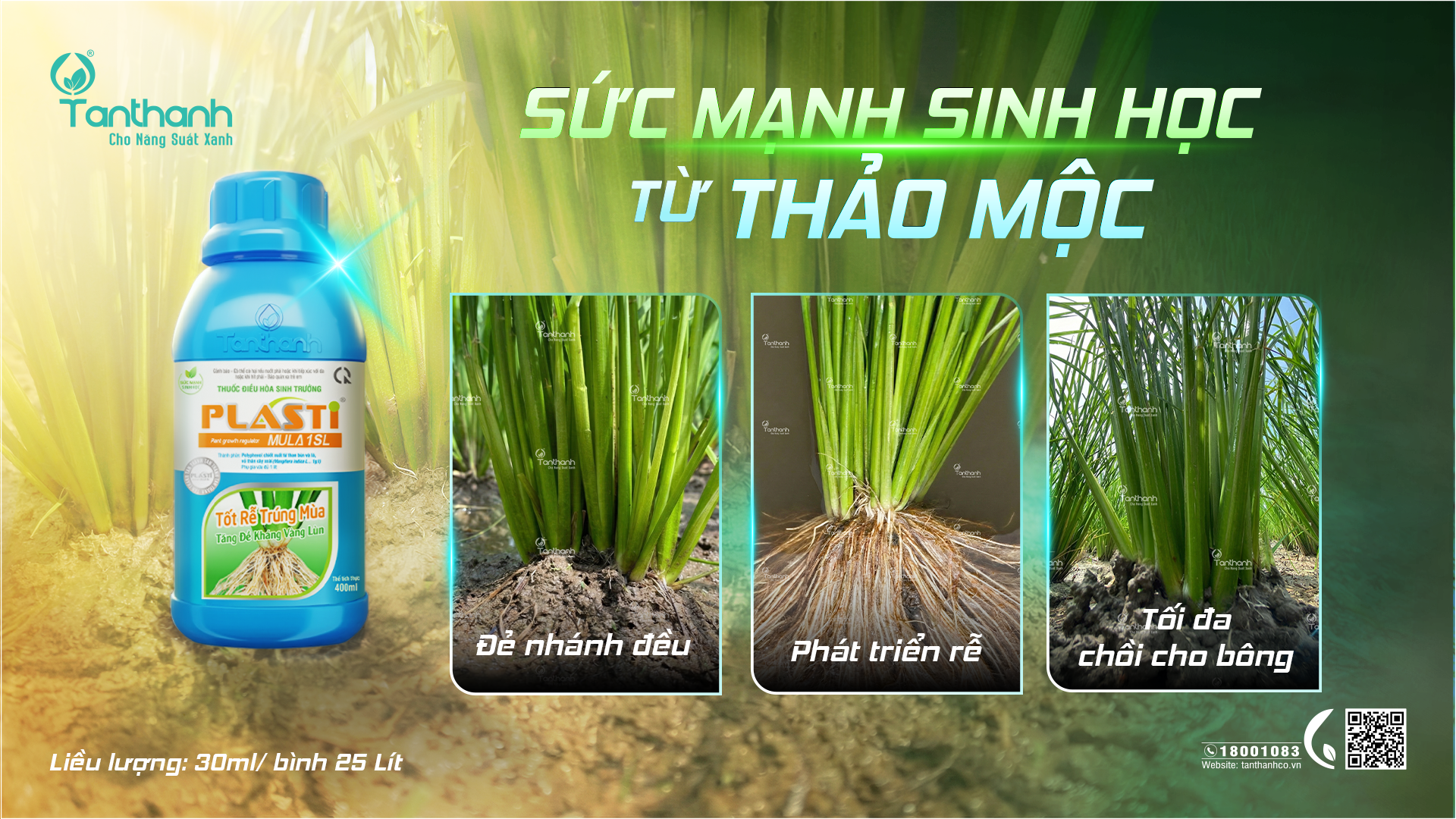 Bí quyết tối đa chồi hữu hiệu Bí quyết tối đa chồi hữu hiệu