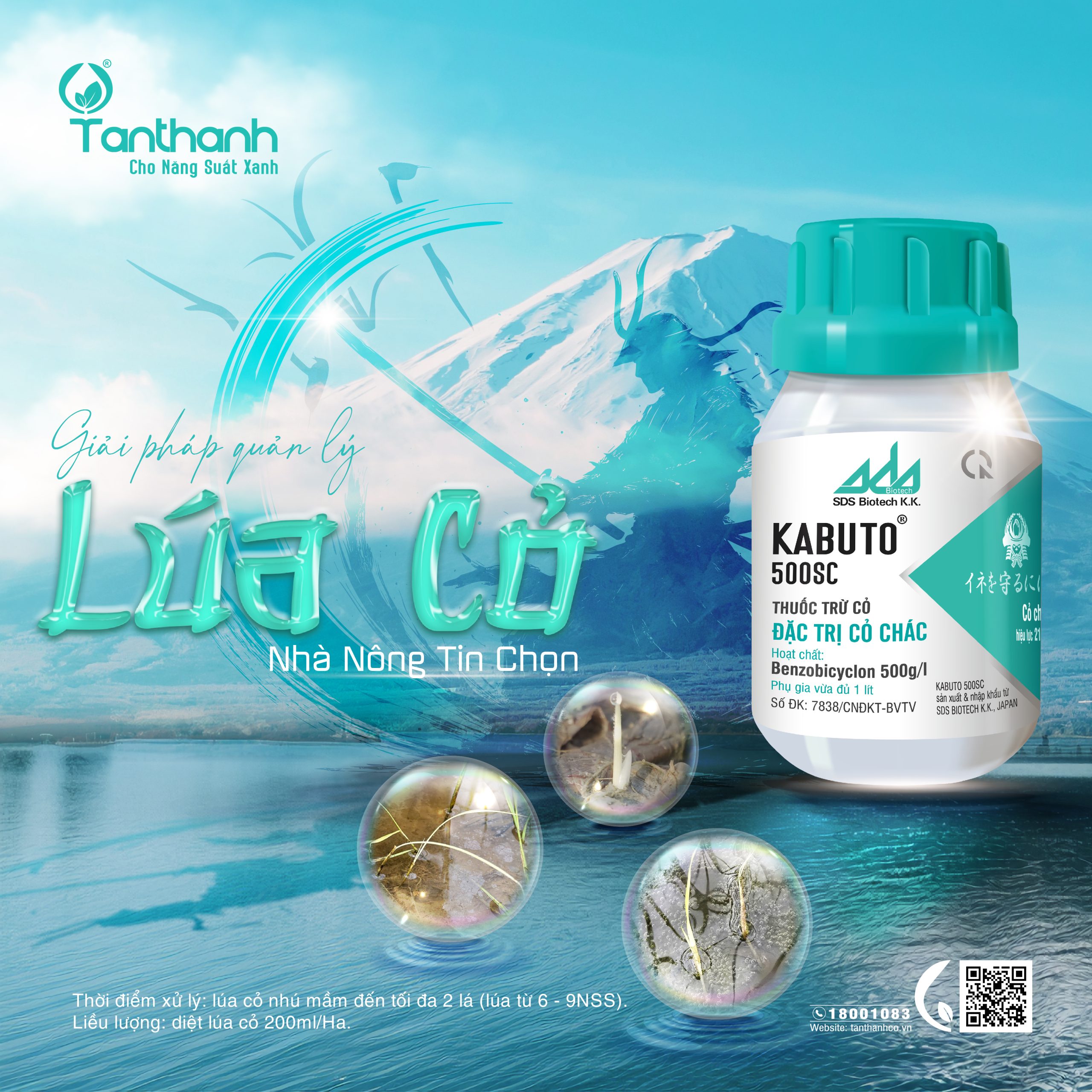 Nắng nóng kéo dài – Thách thức lớn trong quản lý cỏ dại đầu vụ Hè Thu Nắng nóng kéo dài – Thách thức lớn trong quản lý cỏ dại đầu vụ Hè Thu