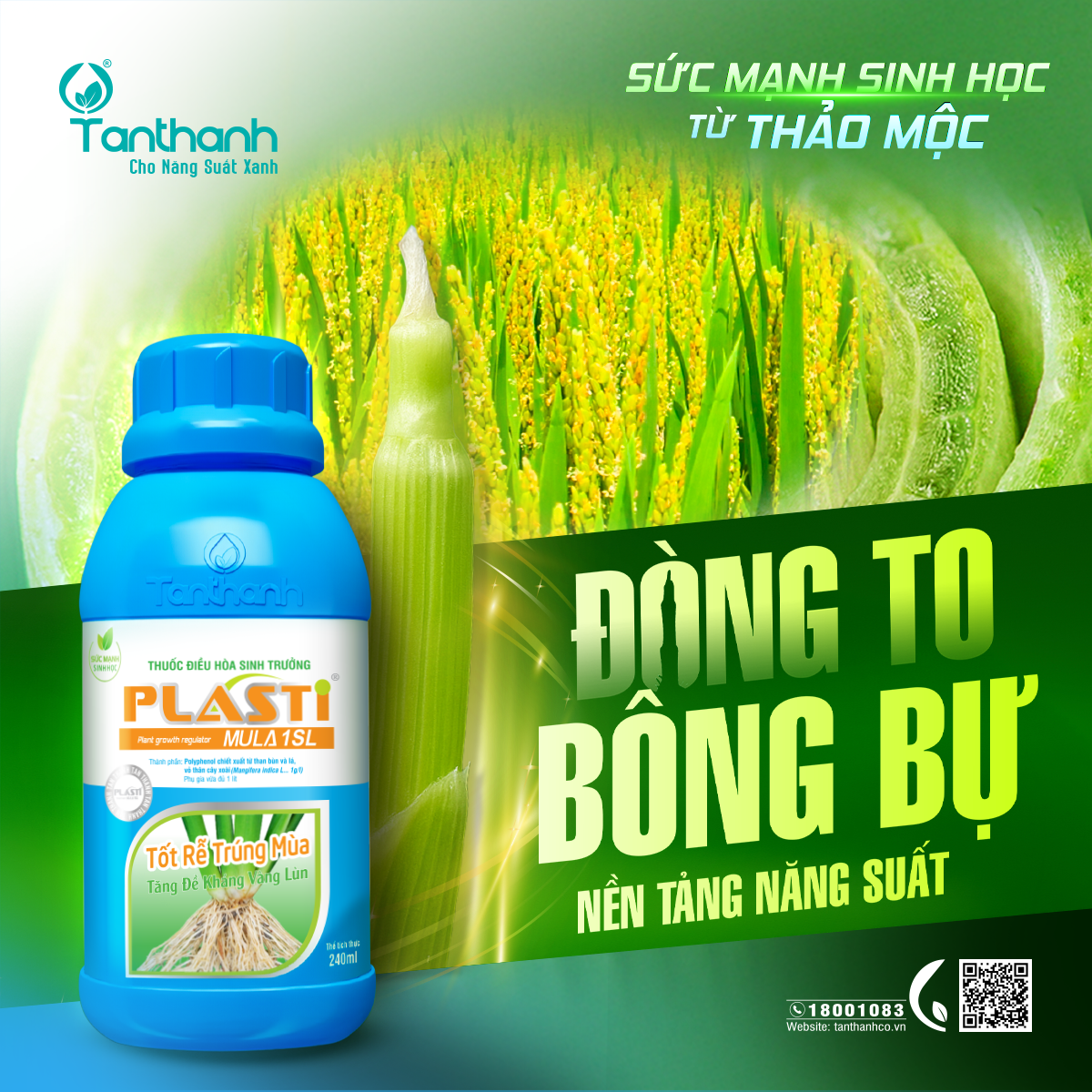  Loại sâu nên chặn chứ đừng đợi trị