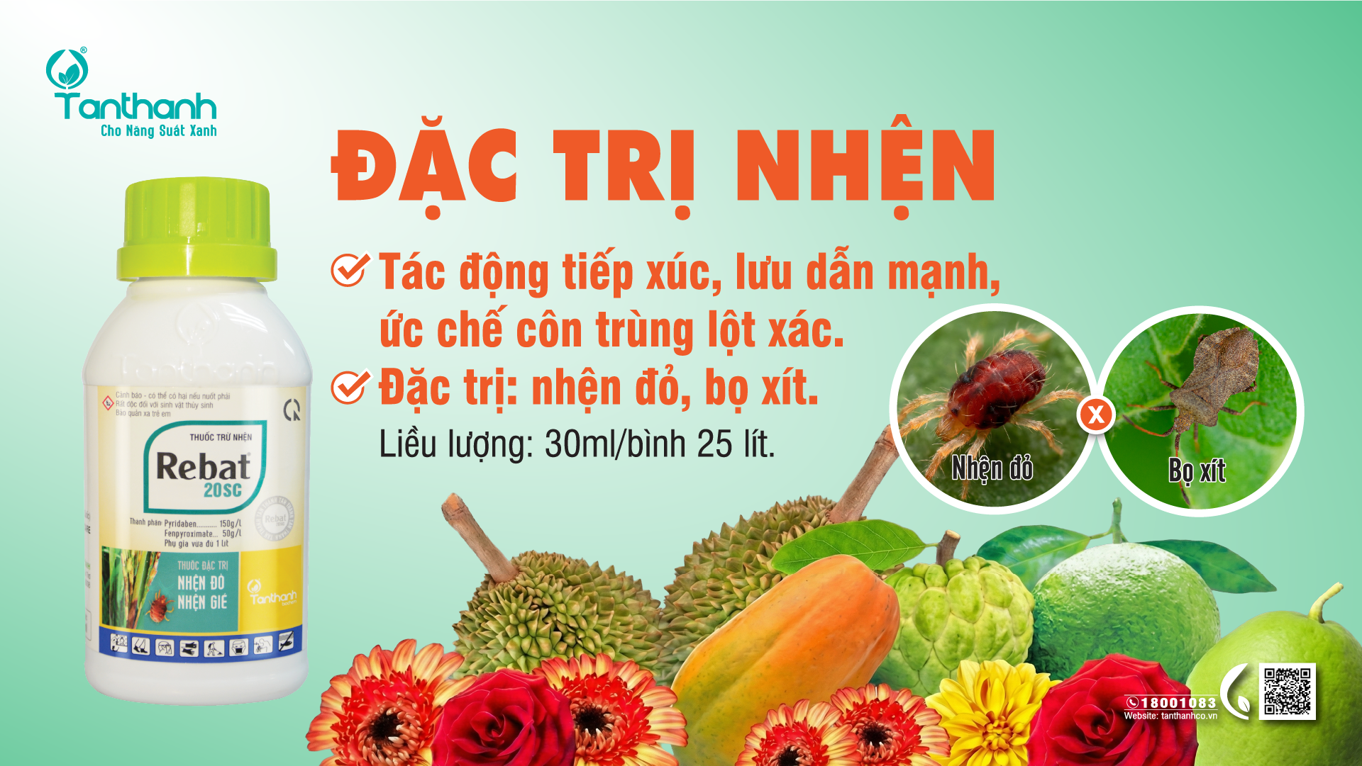 Nhện đỏ tuy nhỏ nhưng buộc người trồng phải quan tâm Nhện đỏ tuy nhỏ nhưng buộc người trồng phải quan tâm