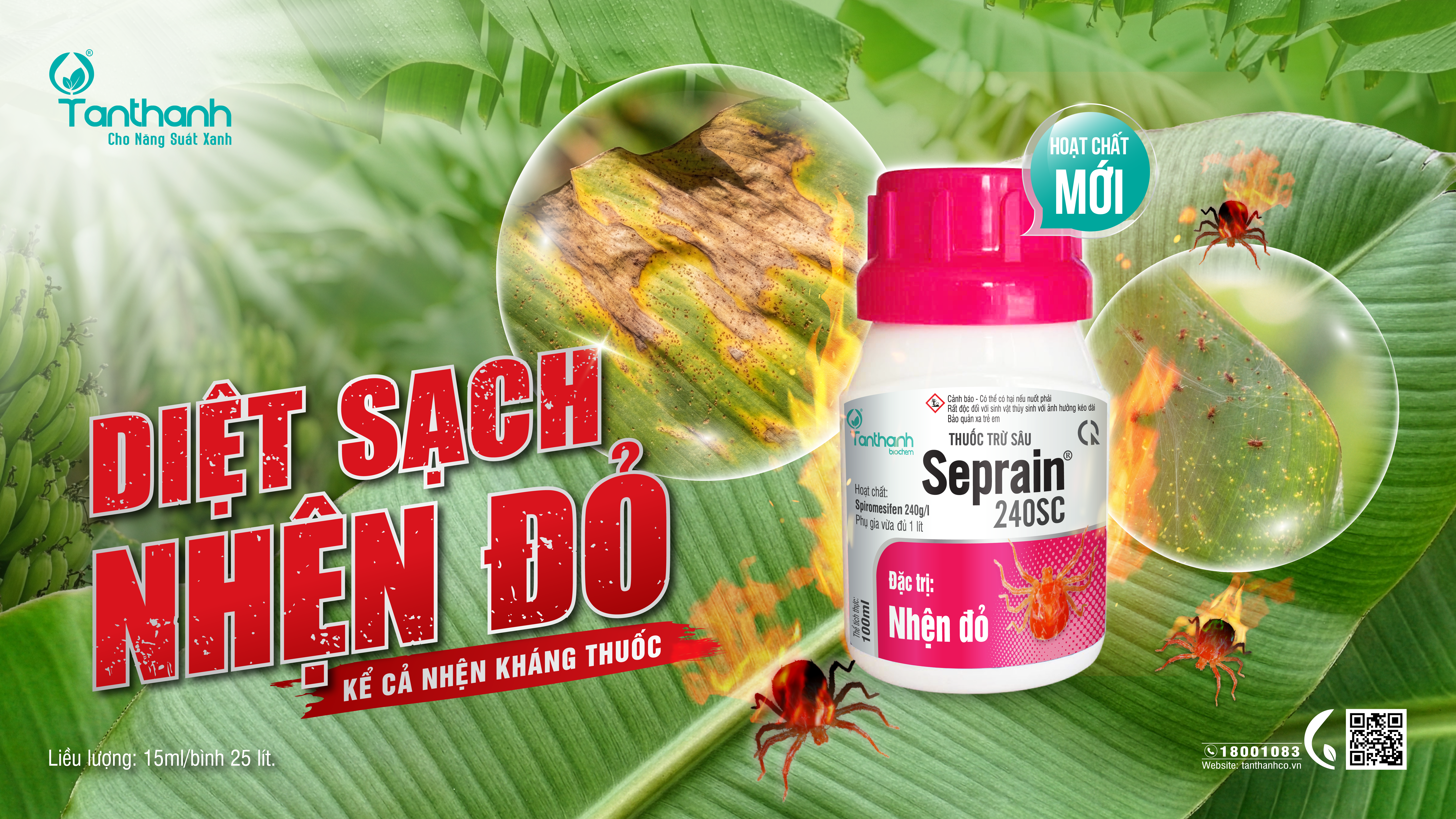 Nhện đỏ tuy nhỏ nhưng buộc người trồng phải quan tâm Nhện đỏ tuy nhỏ nhưng buộc người trồng phải quan tâm