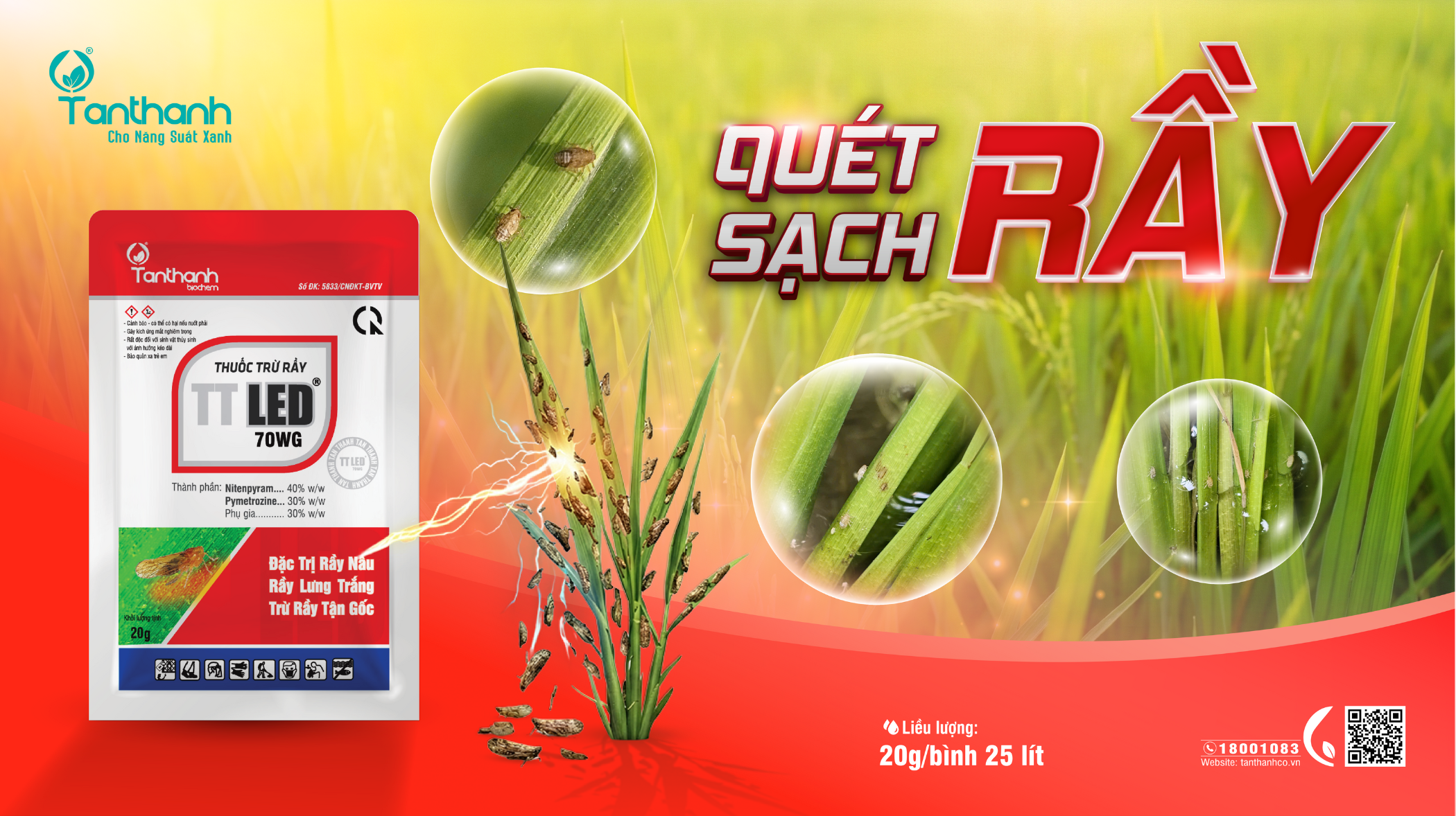 Quản lý rầy nâu hiệu quả và giúp lúa phục hồi nhanh