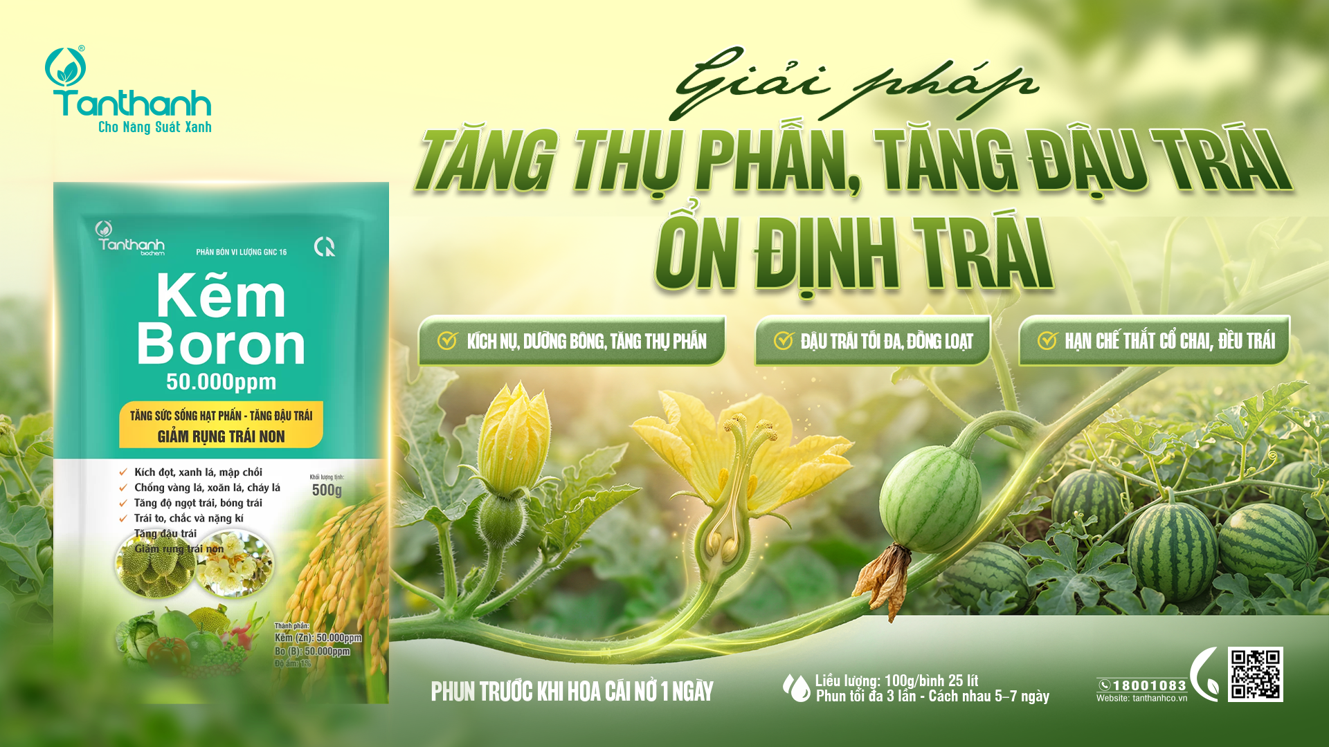 Giải pháp tăng thụ phấn, đậu trái và ổn định năng suất dưa hấu Giải pháp tăng thụ phấn, đậu trái và ổn định năng suất dưa hấu