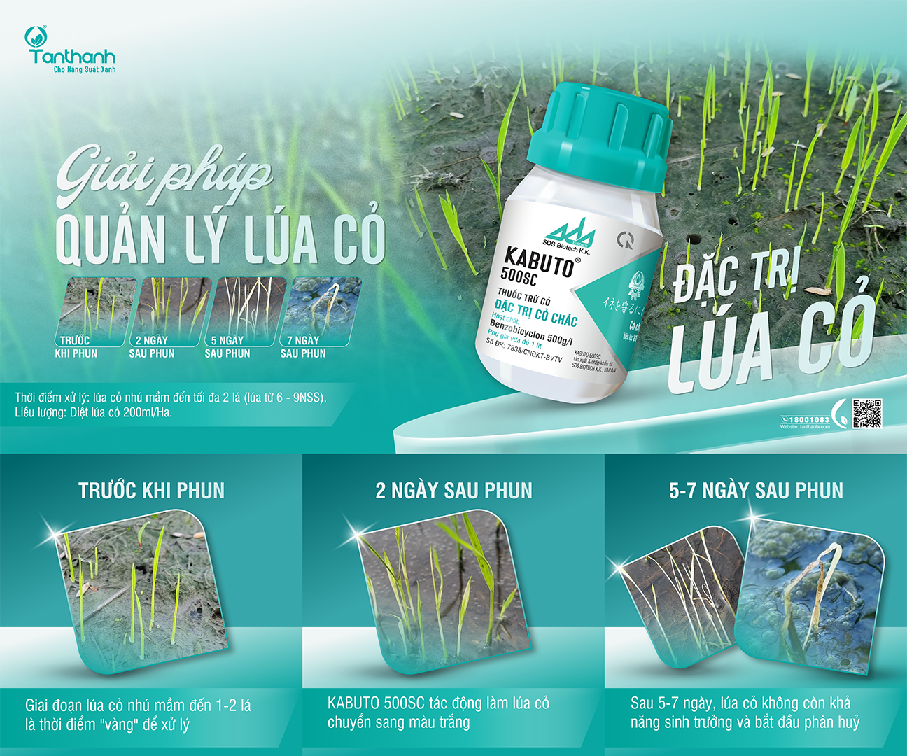 Lúa cỏ – Đừng để một cây thành hàng ngàn cây