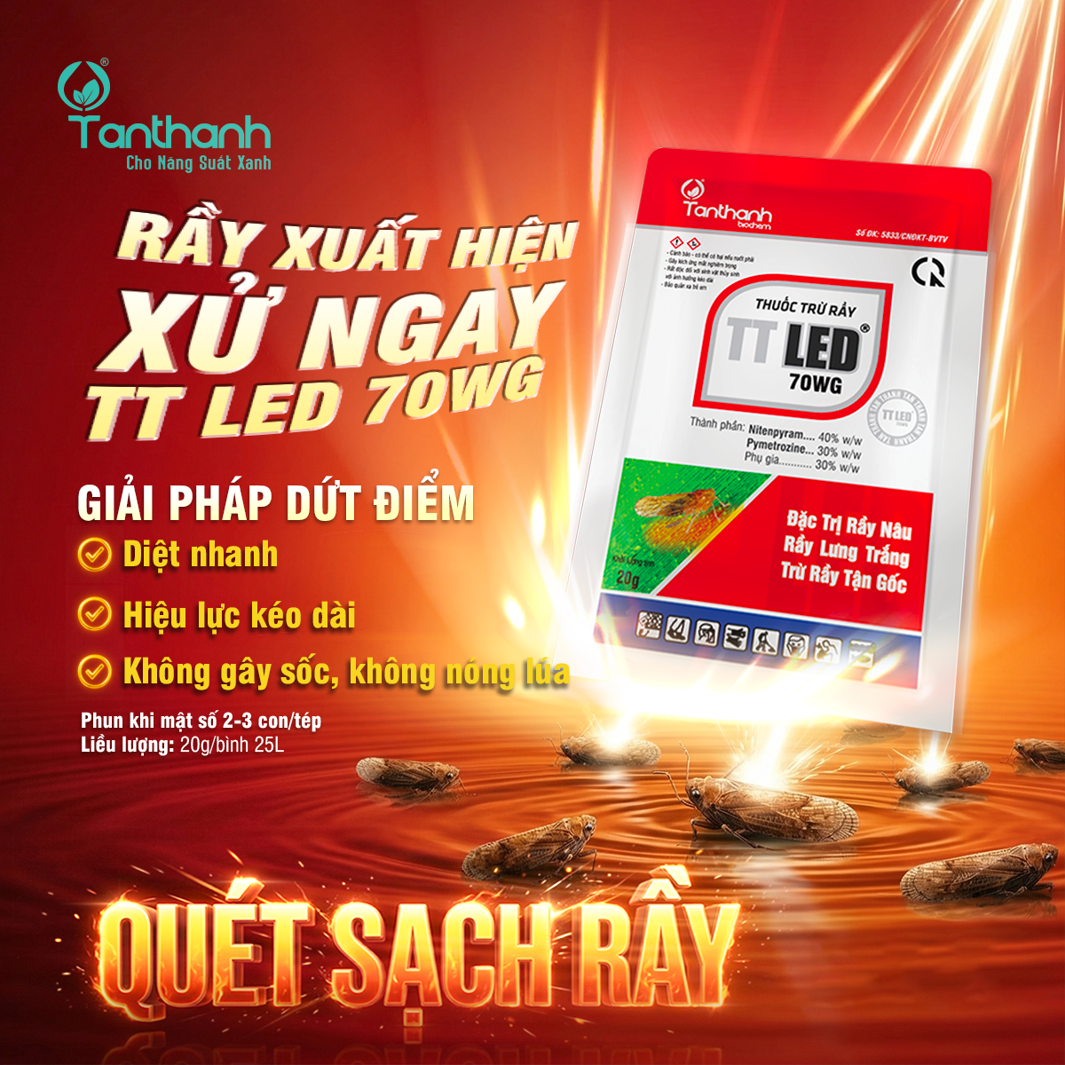 RẦY NÂU VÀO ĐÈN RỘ – LÚA VÔ GẠO ĐỐI MẶT ÁP LỰC LỚN